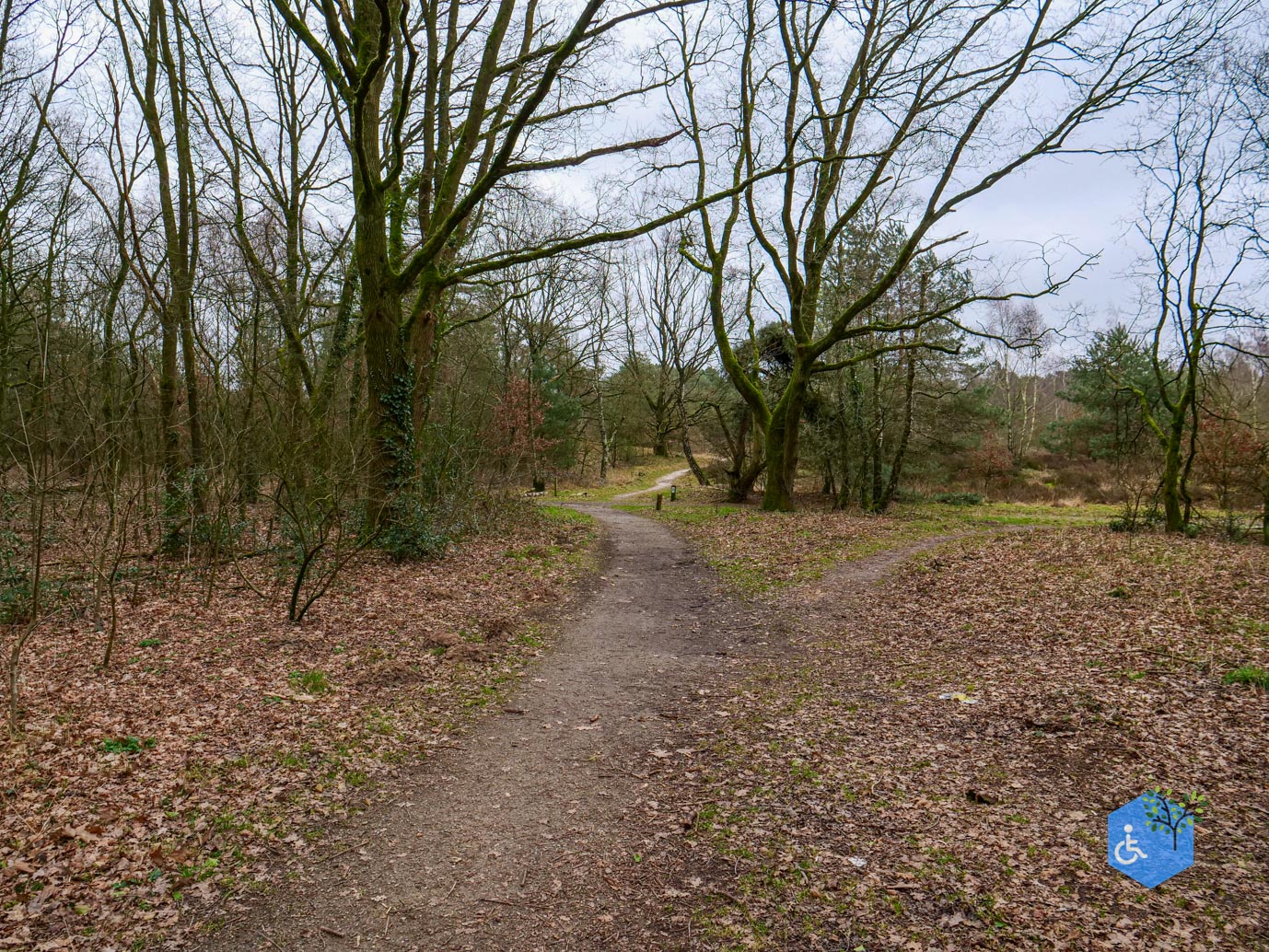 Bergen_Het_Eendenmeer_06-02-2024-04