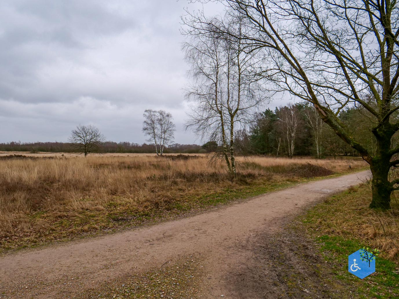 Bergen_Het_Eendenmeer_06-02-2024-06