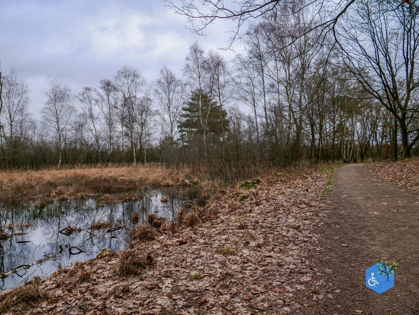 Bergen_Het_Eendenmeer_06-02-2024-08