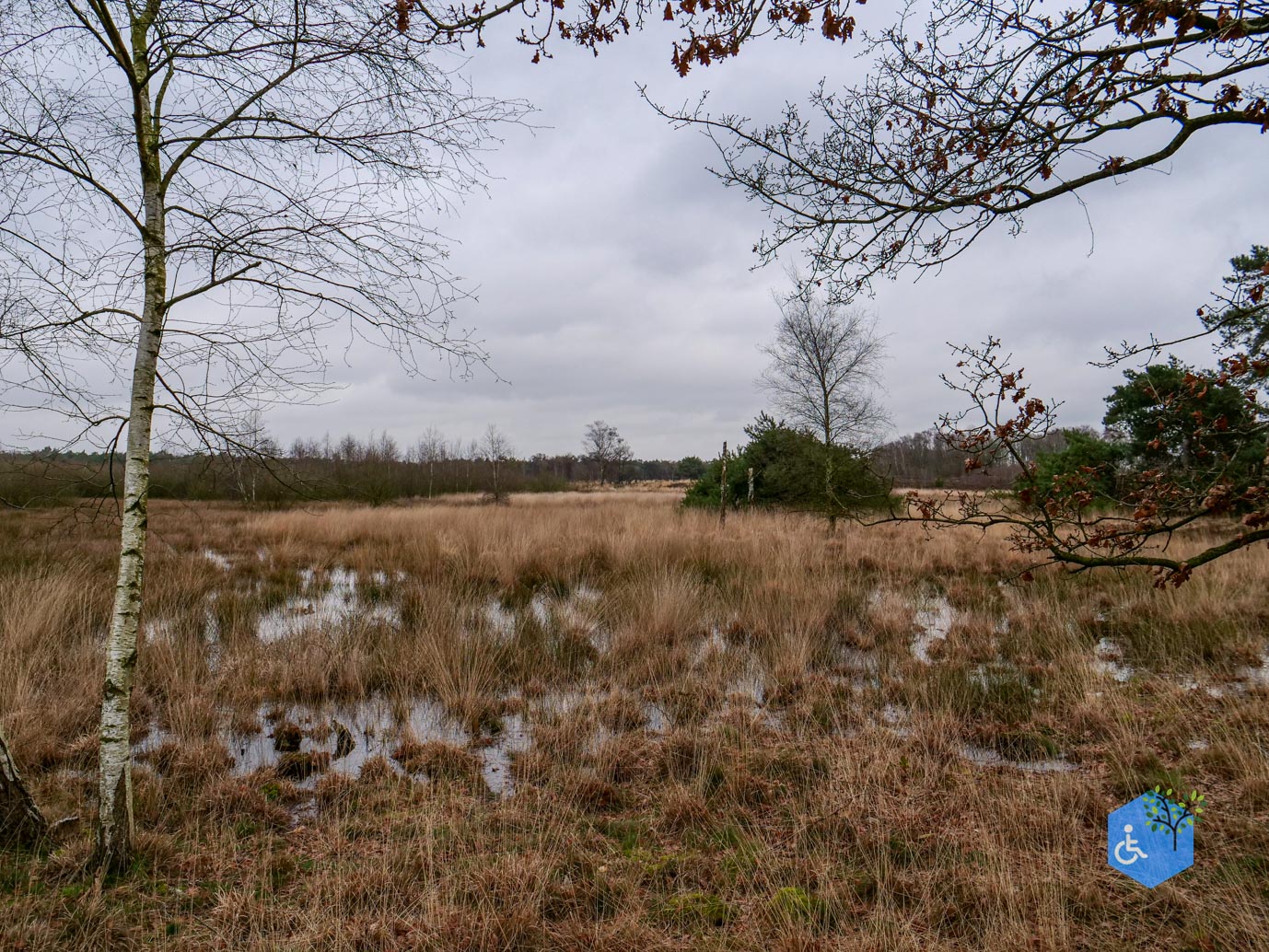Bergen_Het_Eendenmeer_06-02-2024-10