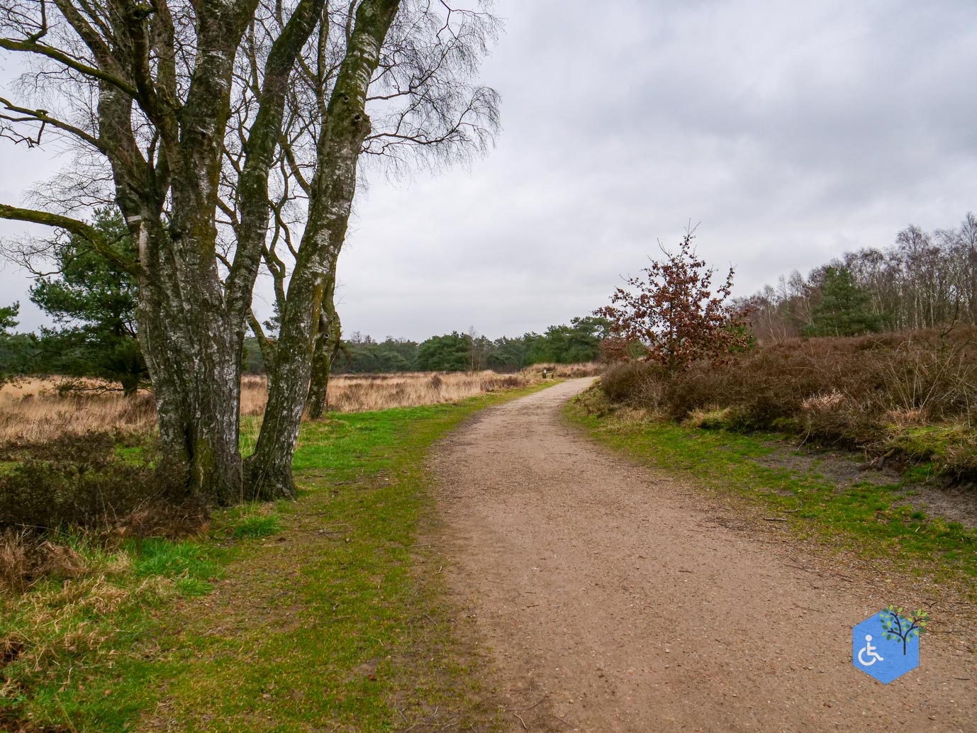 Bergen_Het_Eendenmeer_06-02-2024-15