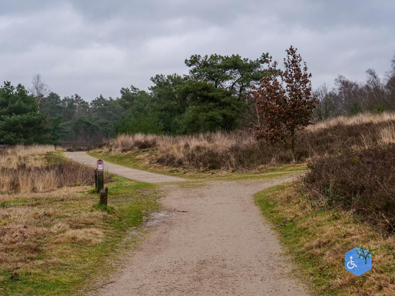 Bergen_Het_Eendenmeer_06-02-2024-16