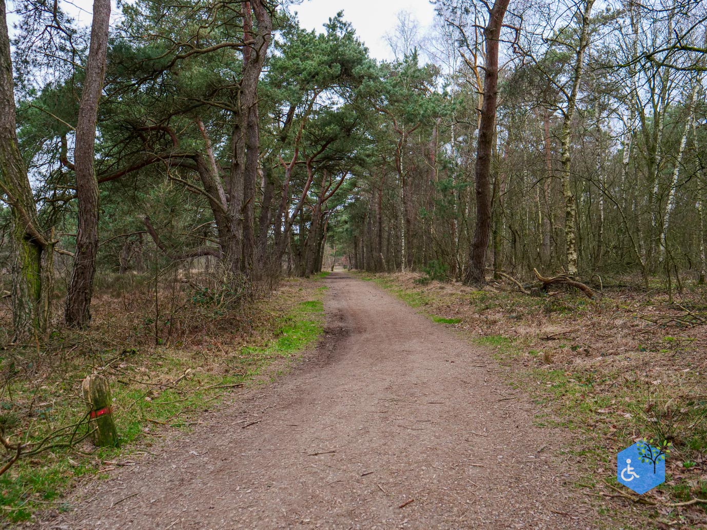 Bergen_Het_Eendenmeer_06-02-2024-17