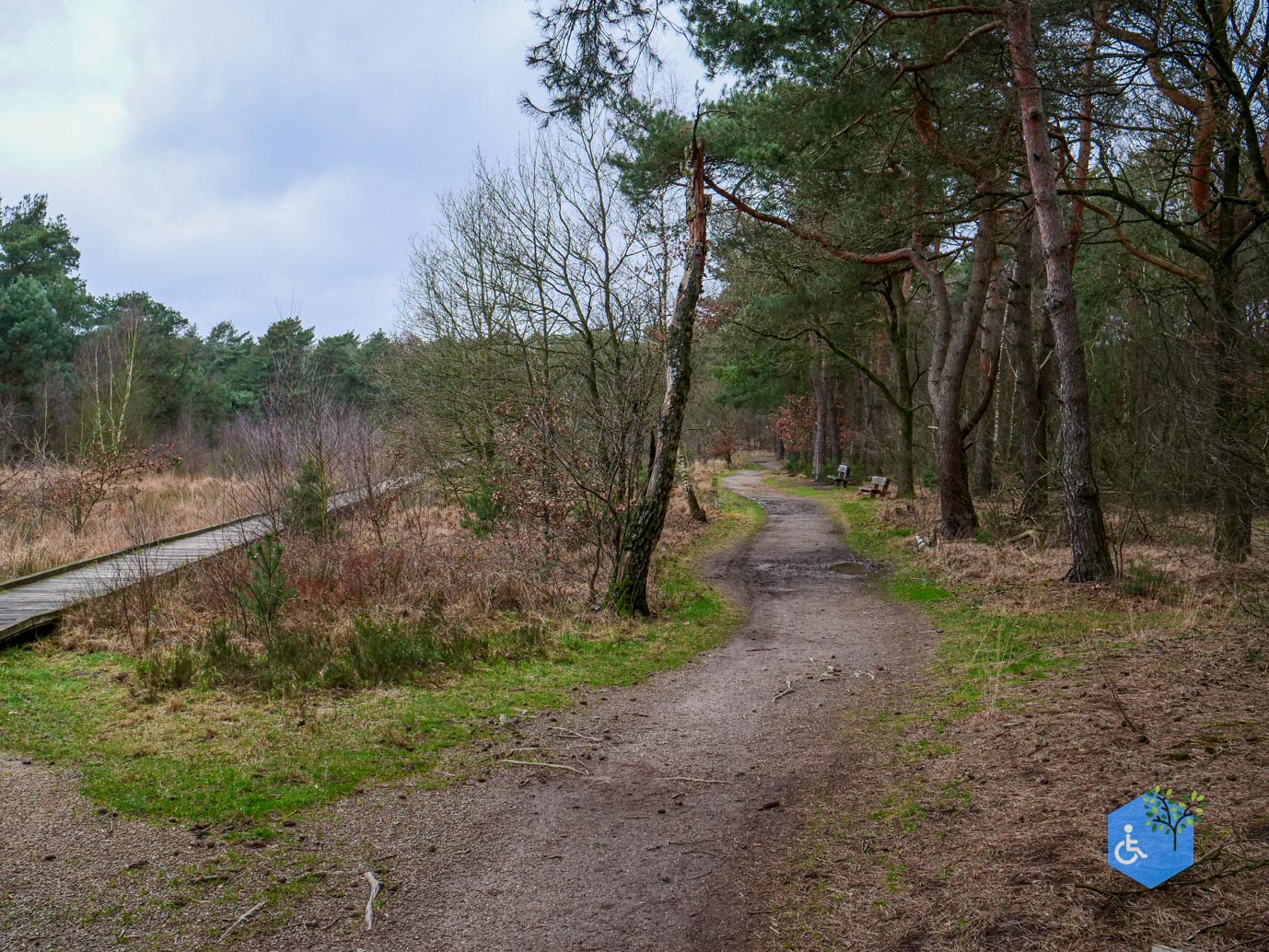 Bergen_Het_Eendenmeer_06-02-2024-20