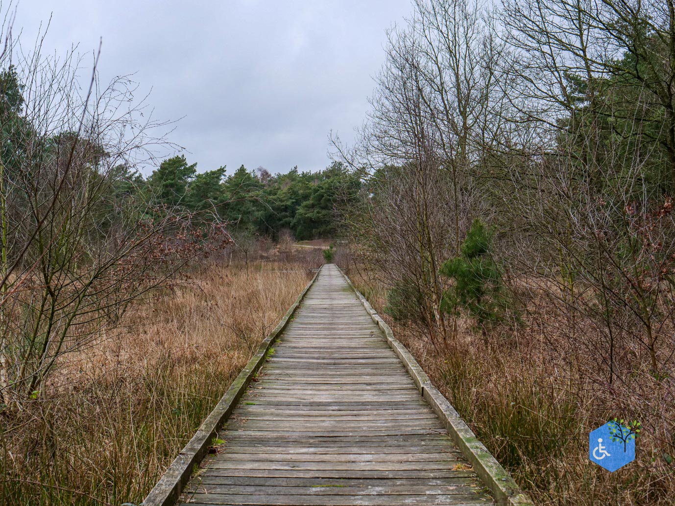 Bergen_Het_Eendenmeer_06-02-2024-21