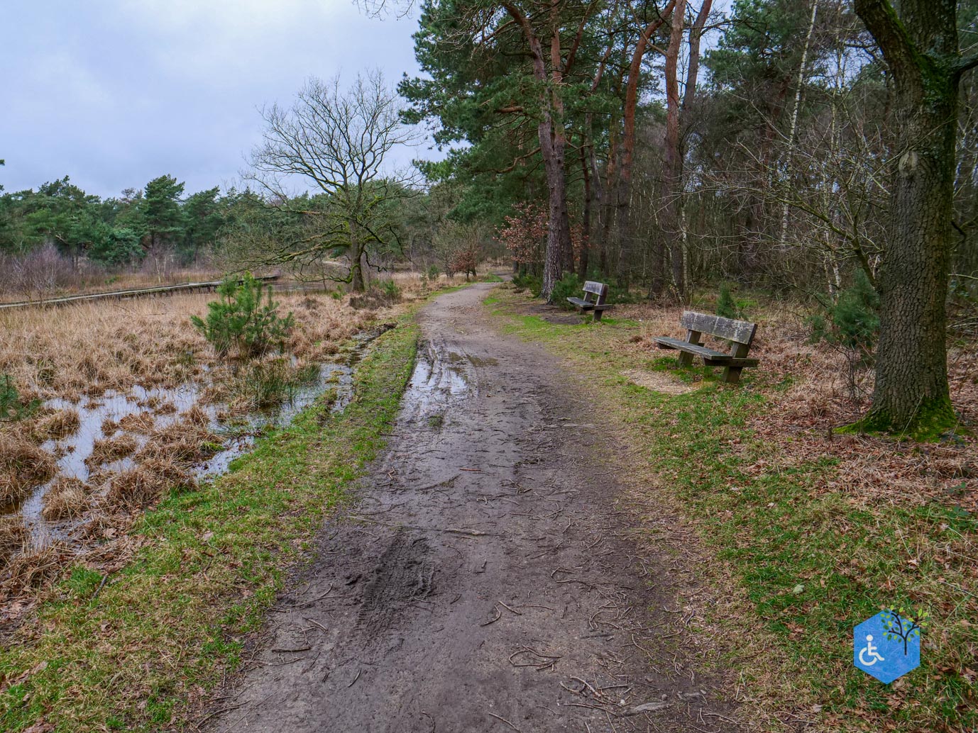 Bergen_Het_Eendenmeer_06-02-2024-23