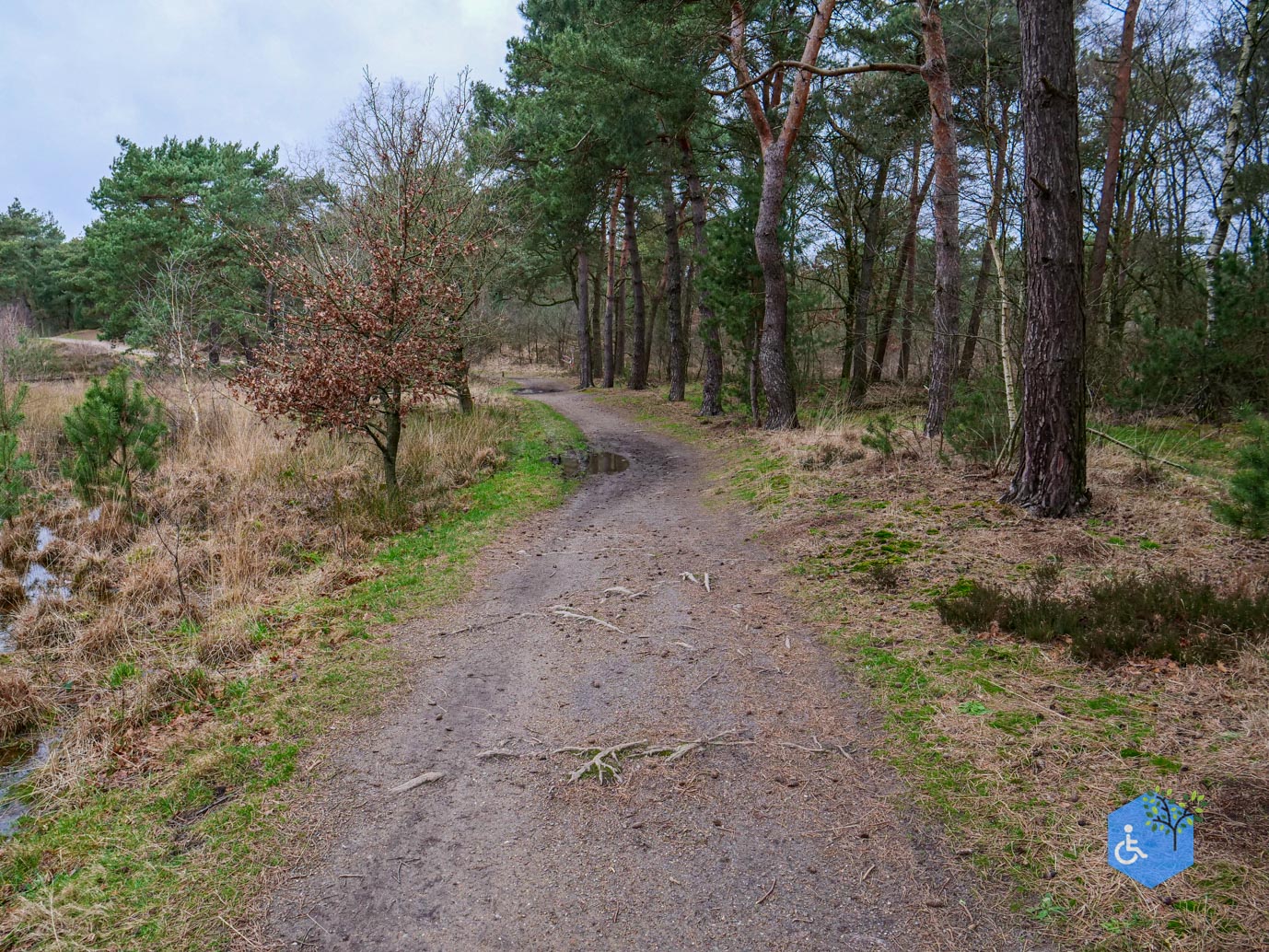 Bergen_Het_Eendenmeer_06-02-2024-24