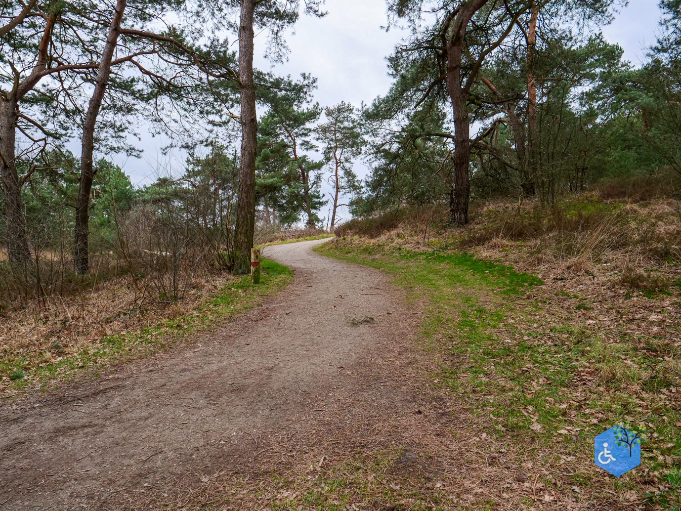 Bergen_Het_Eendenmeer_06-02-2024-25
