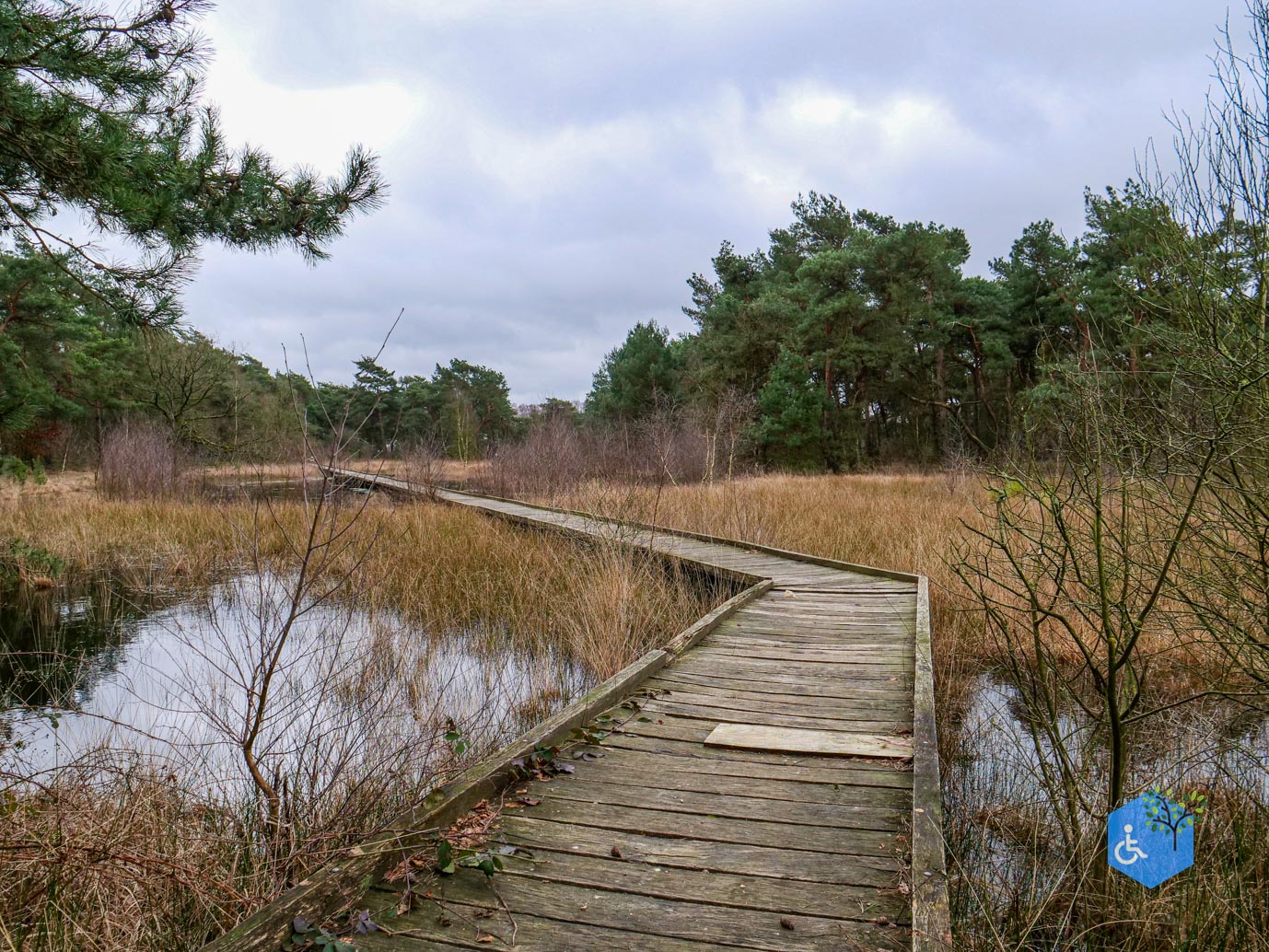 Bergen_Het_Eendenmeer_06-02-2024-26