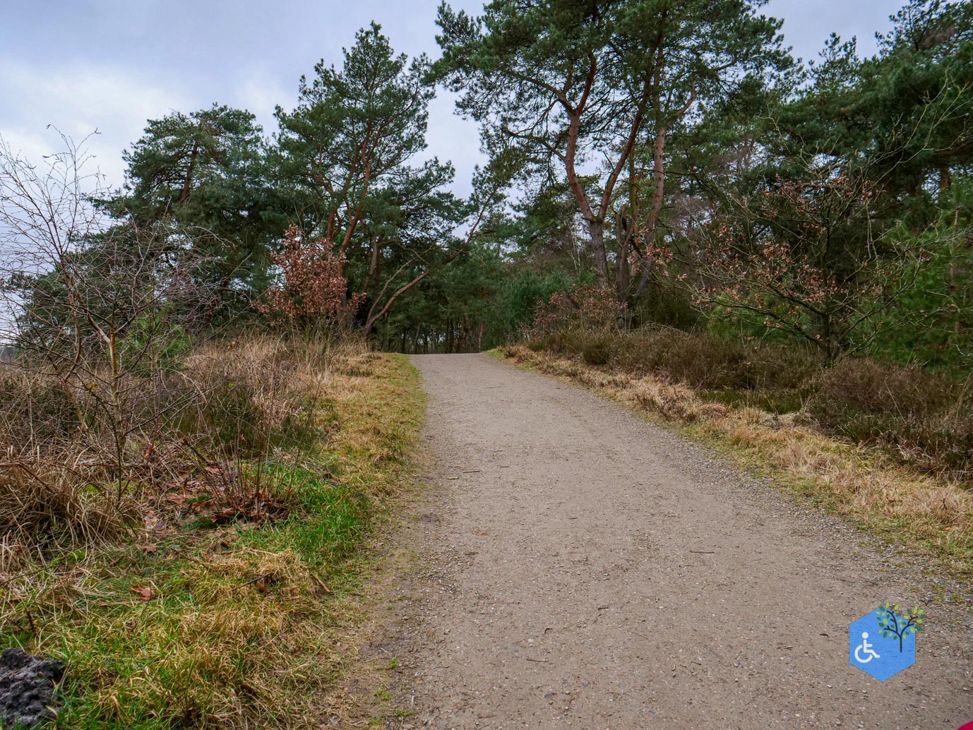 Bergen_Het_Eendenmeer_06-02-2024-29
