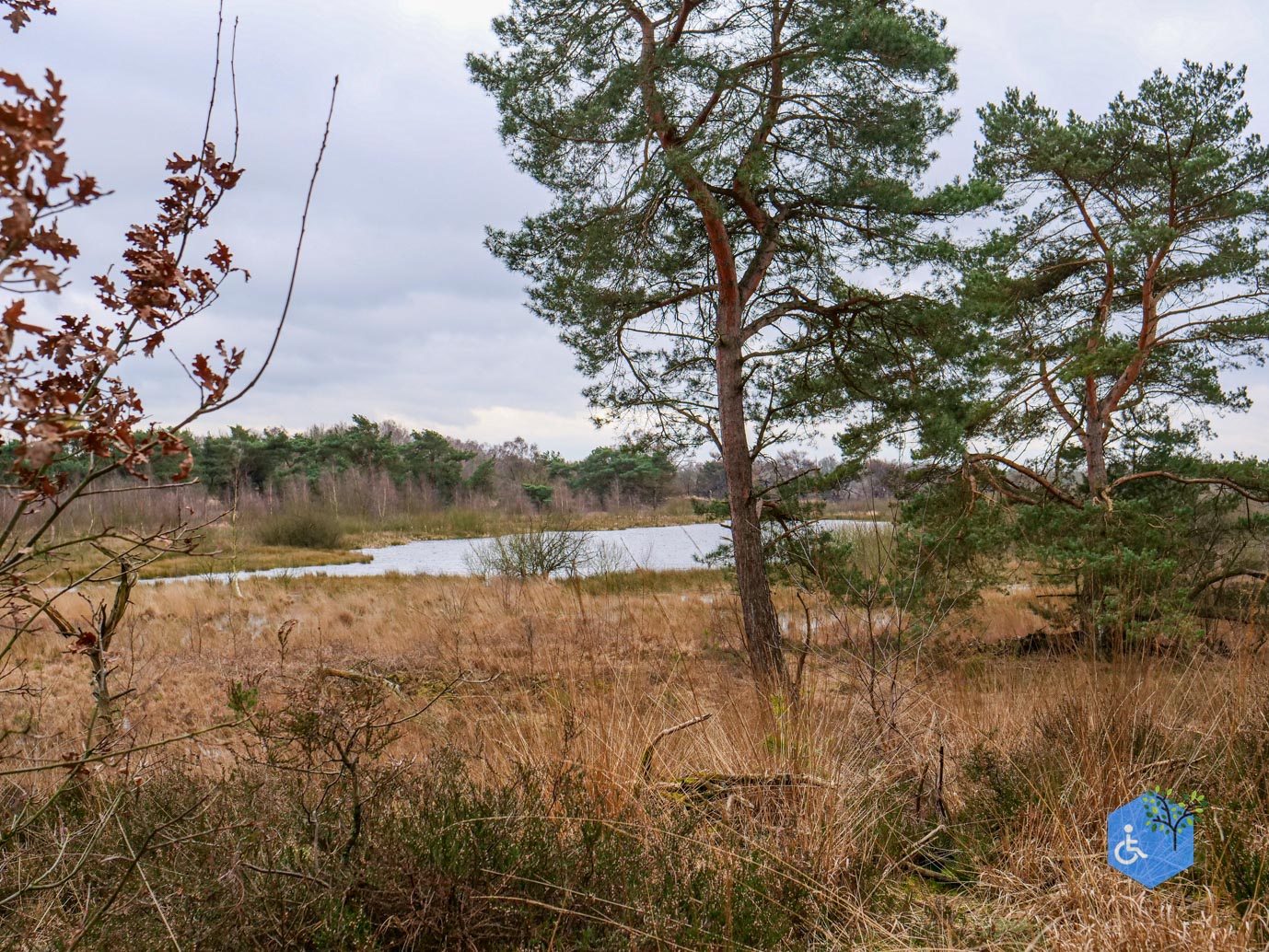 Bergen_Het_Eendenmeer_06-02-2024-30