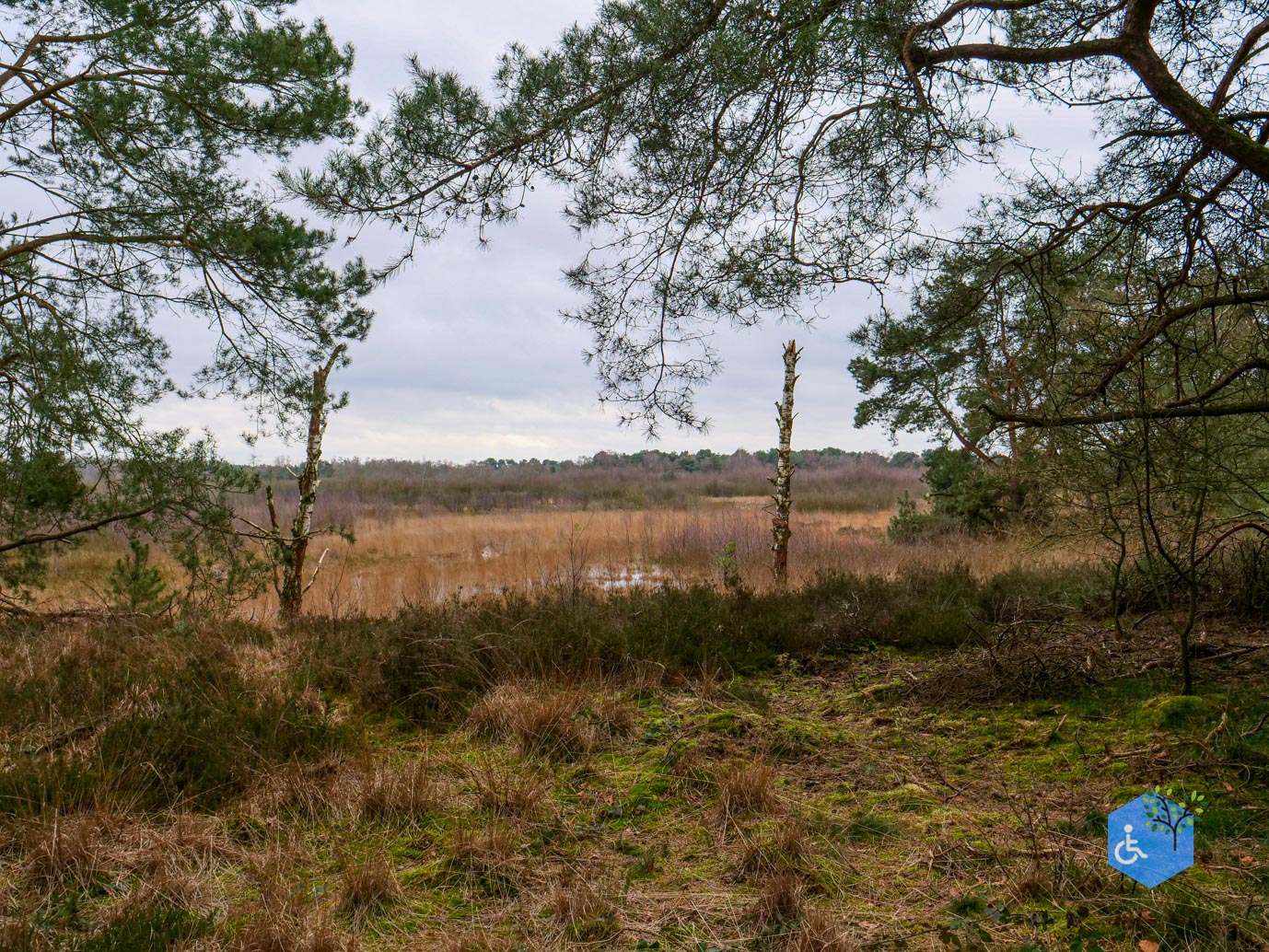Bergen_Het_Eendenmeer_06-02-2024-31