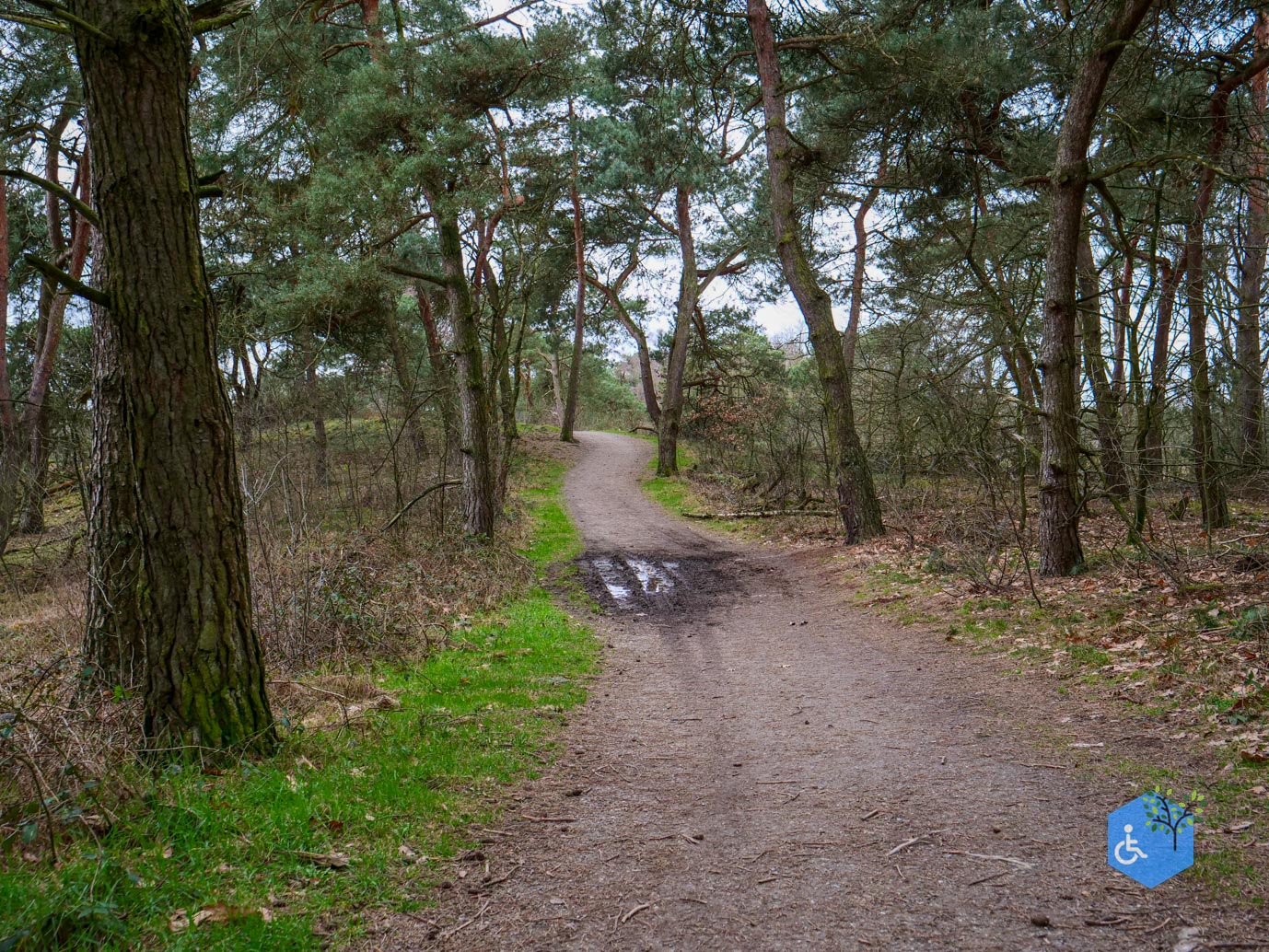 Bergen_Het_Eendenmeer_06-02-2024-32