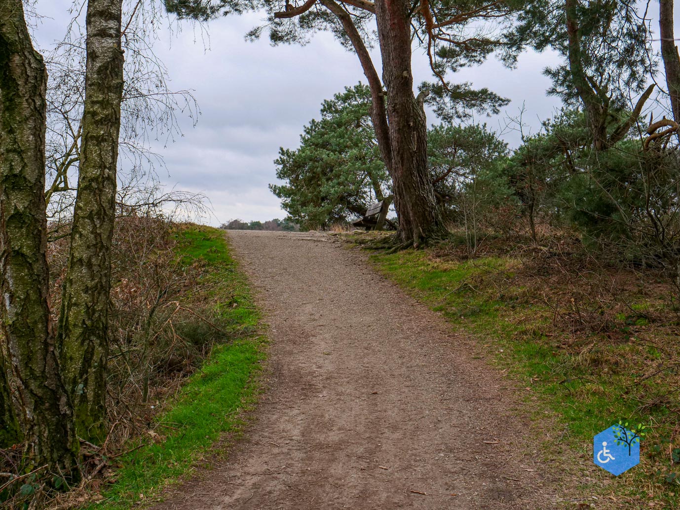 Bergen_Het_Eendenmeer_06-02-2024-33