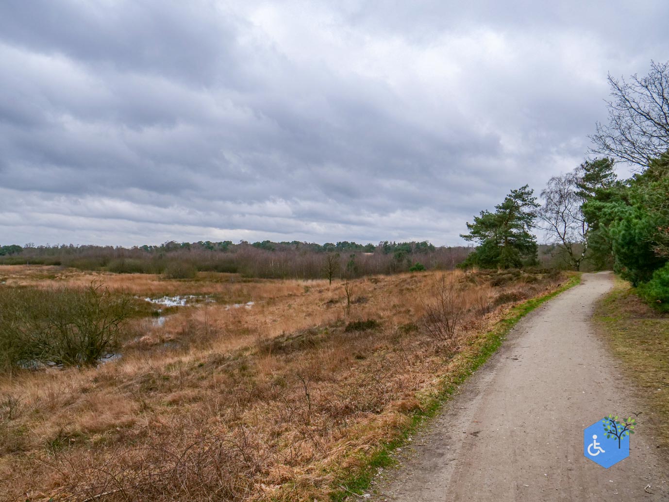 Bergen_Het_Eendenmeer_06-02-2024-35