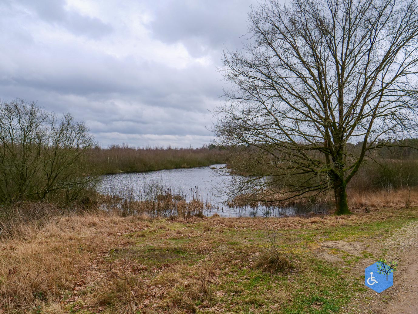 Bergen_Het_Eendenmeer_06-02-2024-37
