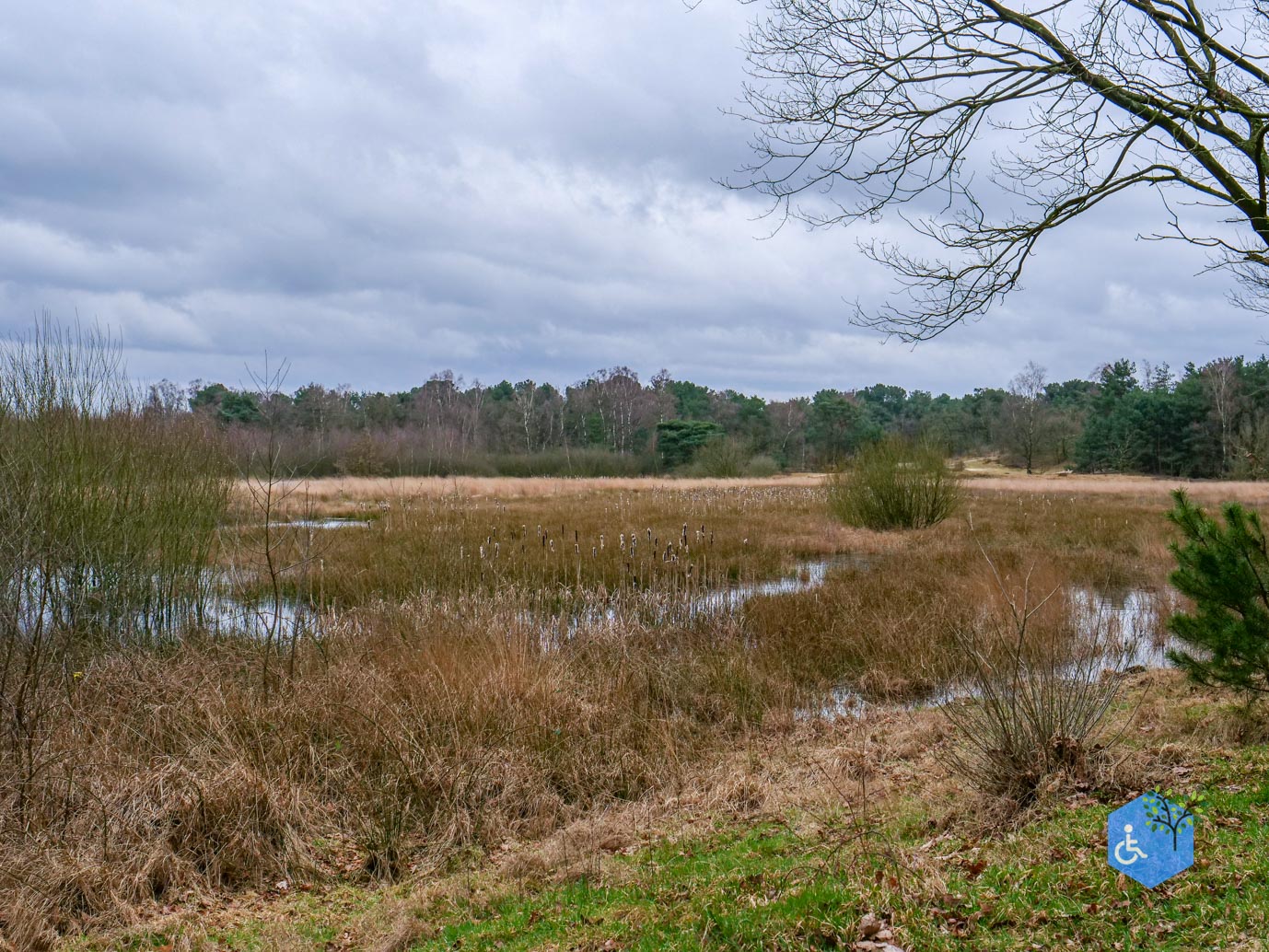 Bergen_Het_Eendenmeer_06-02-2024-38