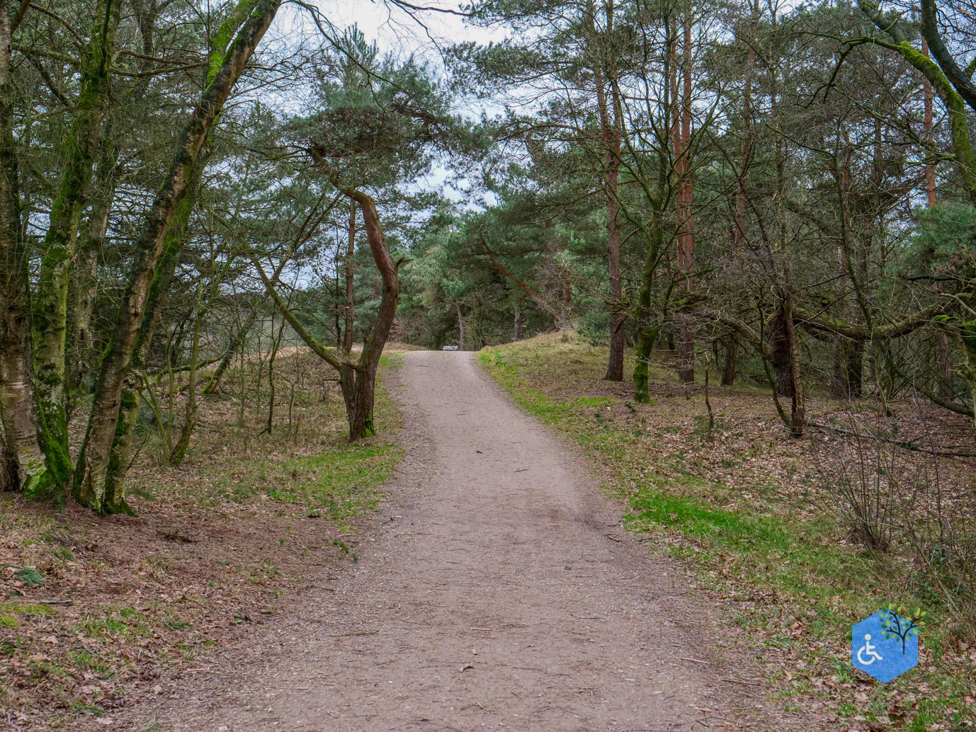 Bergen_Het_Eendenmeer_06-02-2024-39