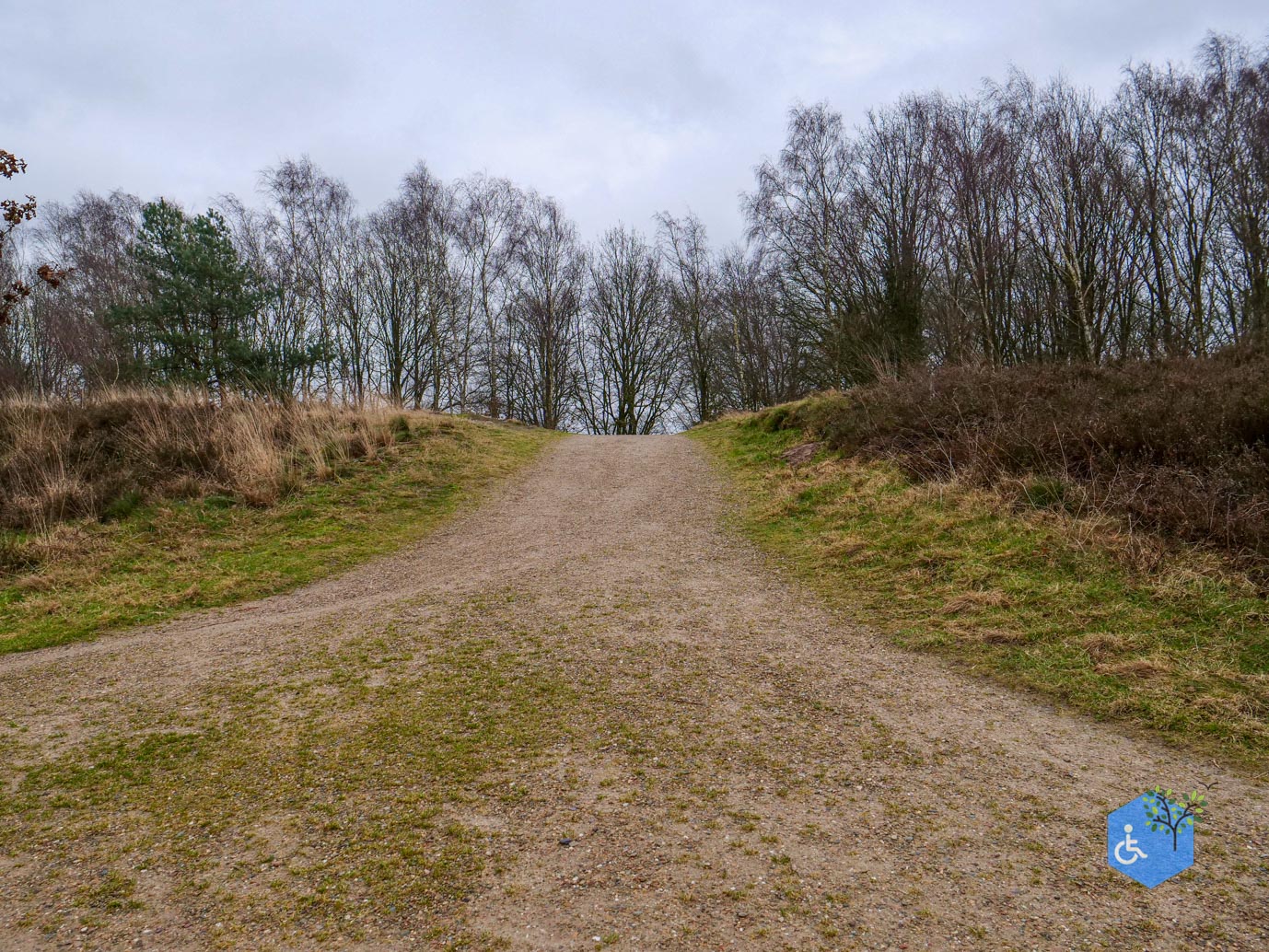 Bergen_Het_Eendenmeer_06-02-2024-43