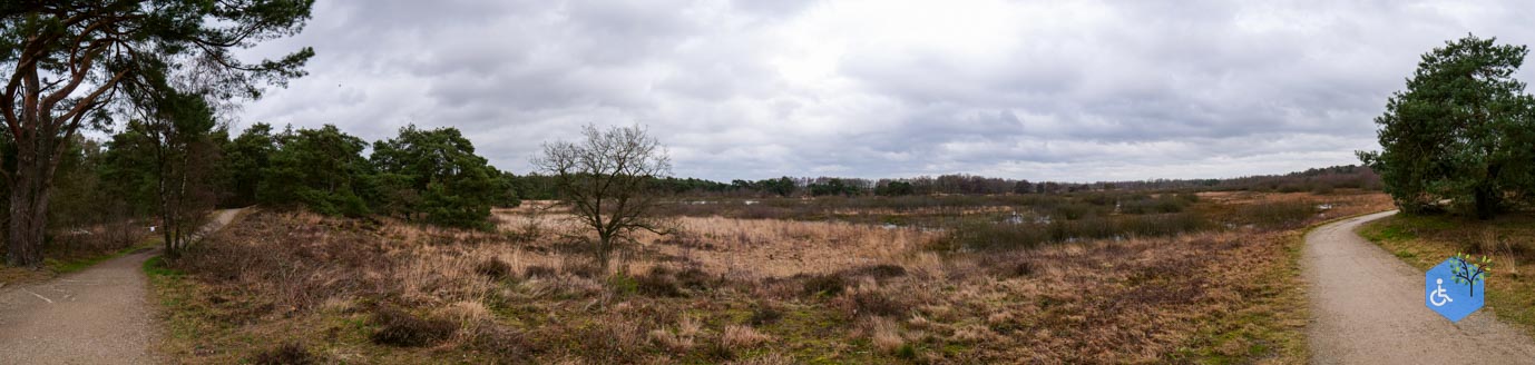 Bergen_Het_Eendenmeer_06-02-2024-46
