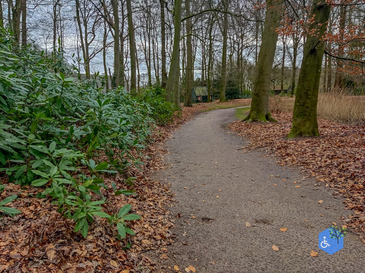 Renswoude_Kasteelbos_Renswoude_05-02-2024-08