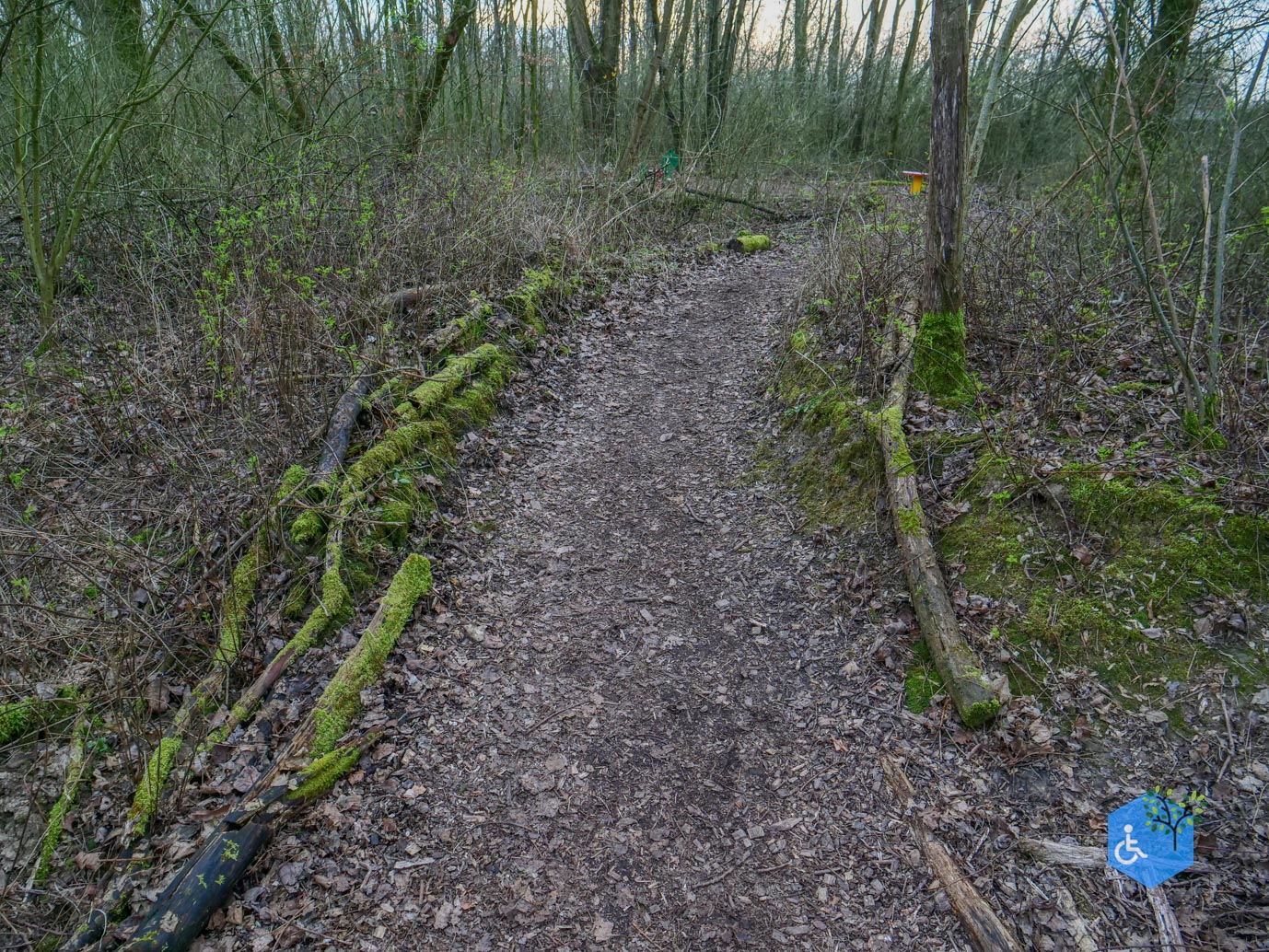 Duiven_Horsterpark_10-03-2024-34