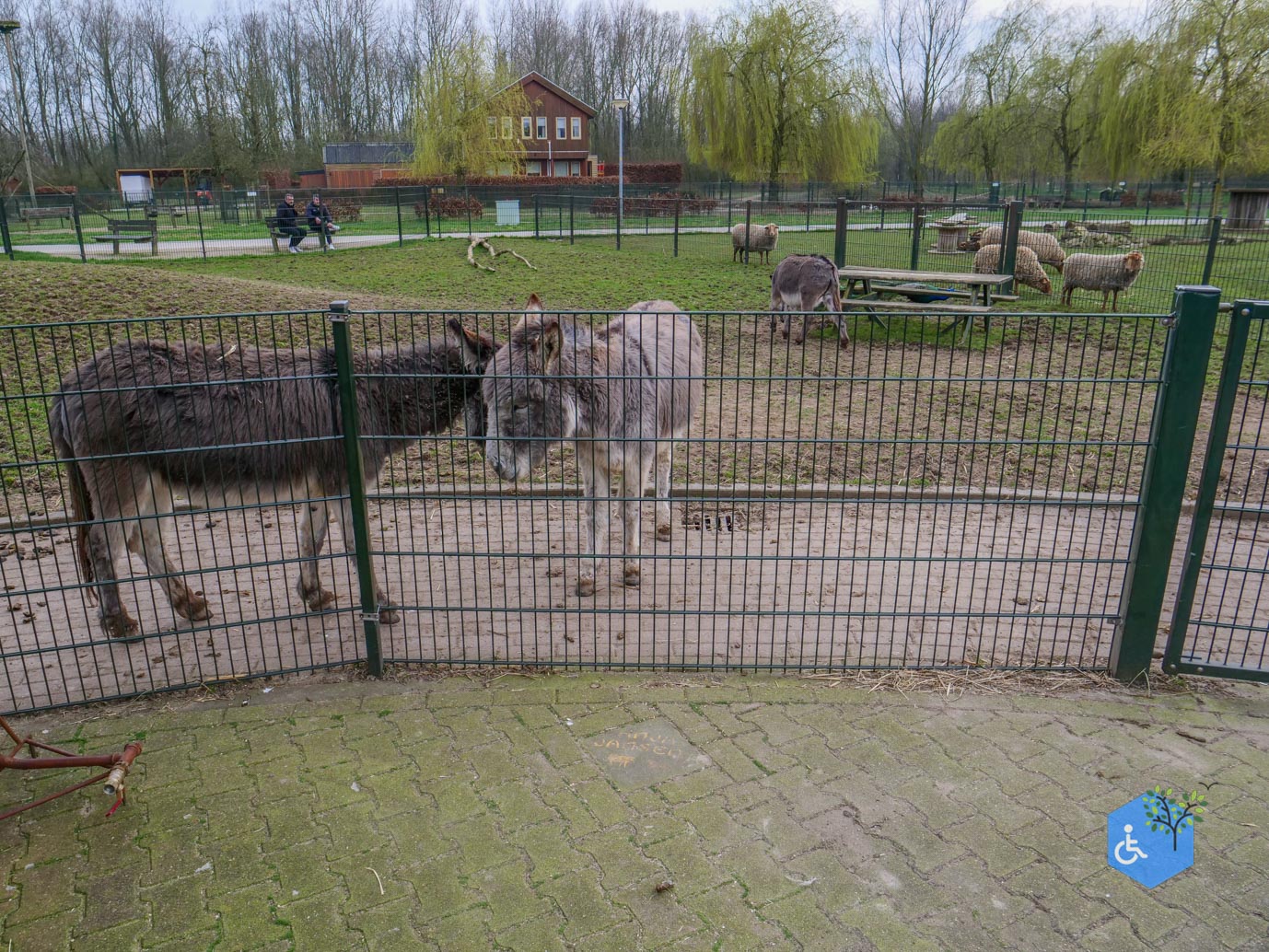 Duiven_Horsterpark_10-03-2024-45