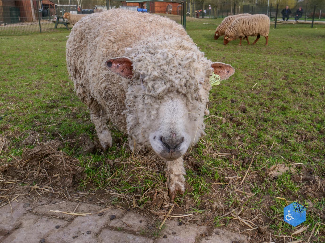 Duiven_Horsterpark_10-03-2024-51