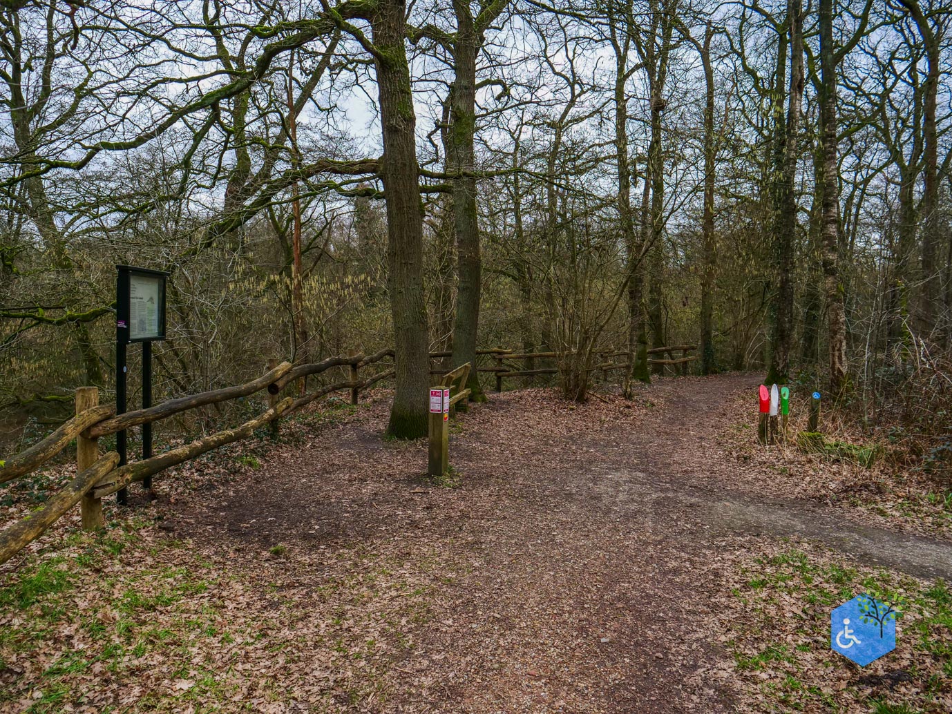 Wellerlooi_Rolstoelroute_De_Hamert_06-02-2024-14