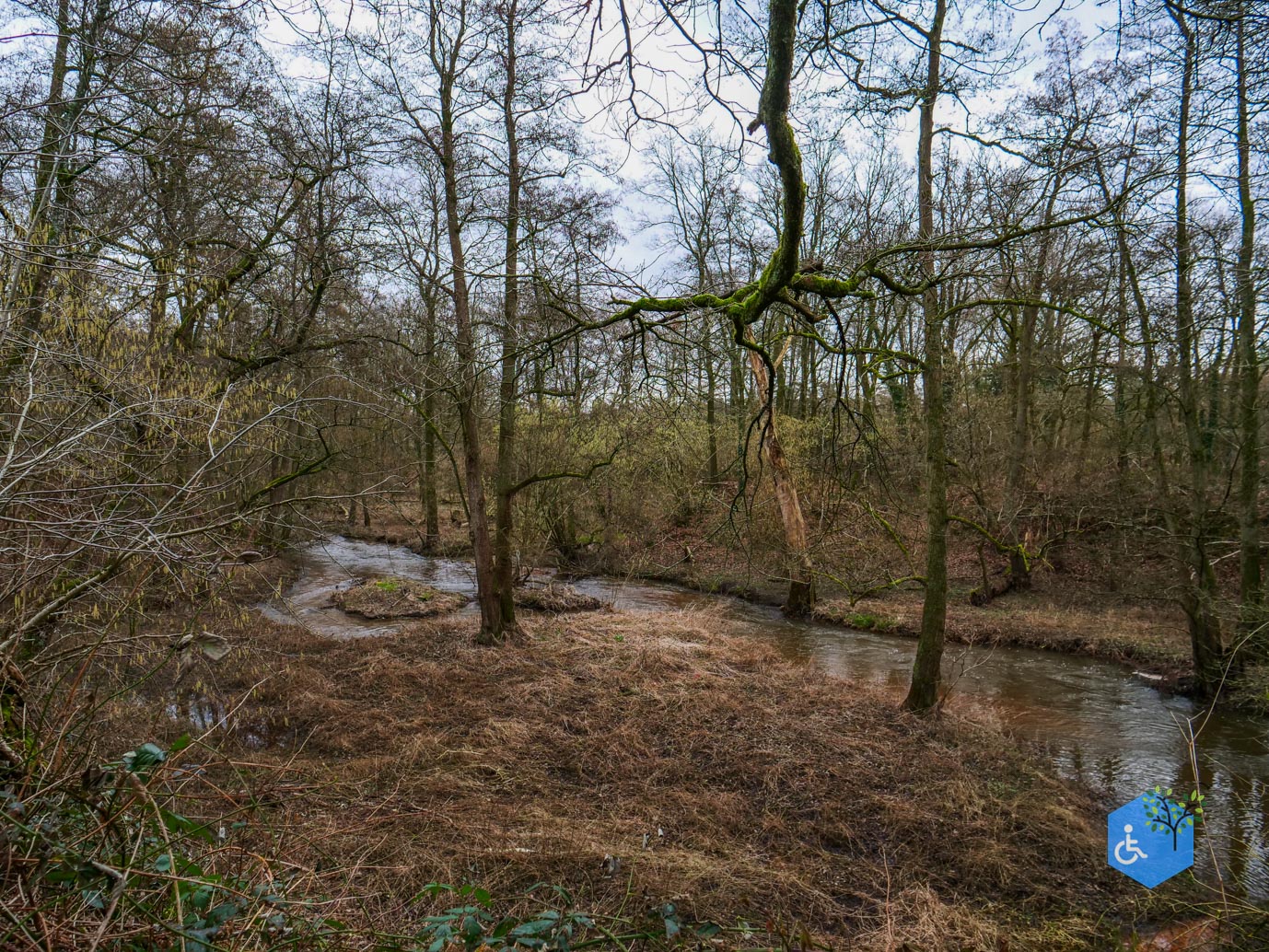 Wellerlooi_Rolstoelroute_De_Hamert_06-02-2024-15