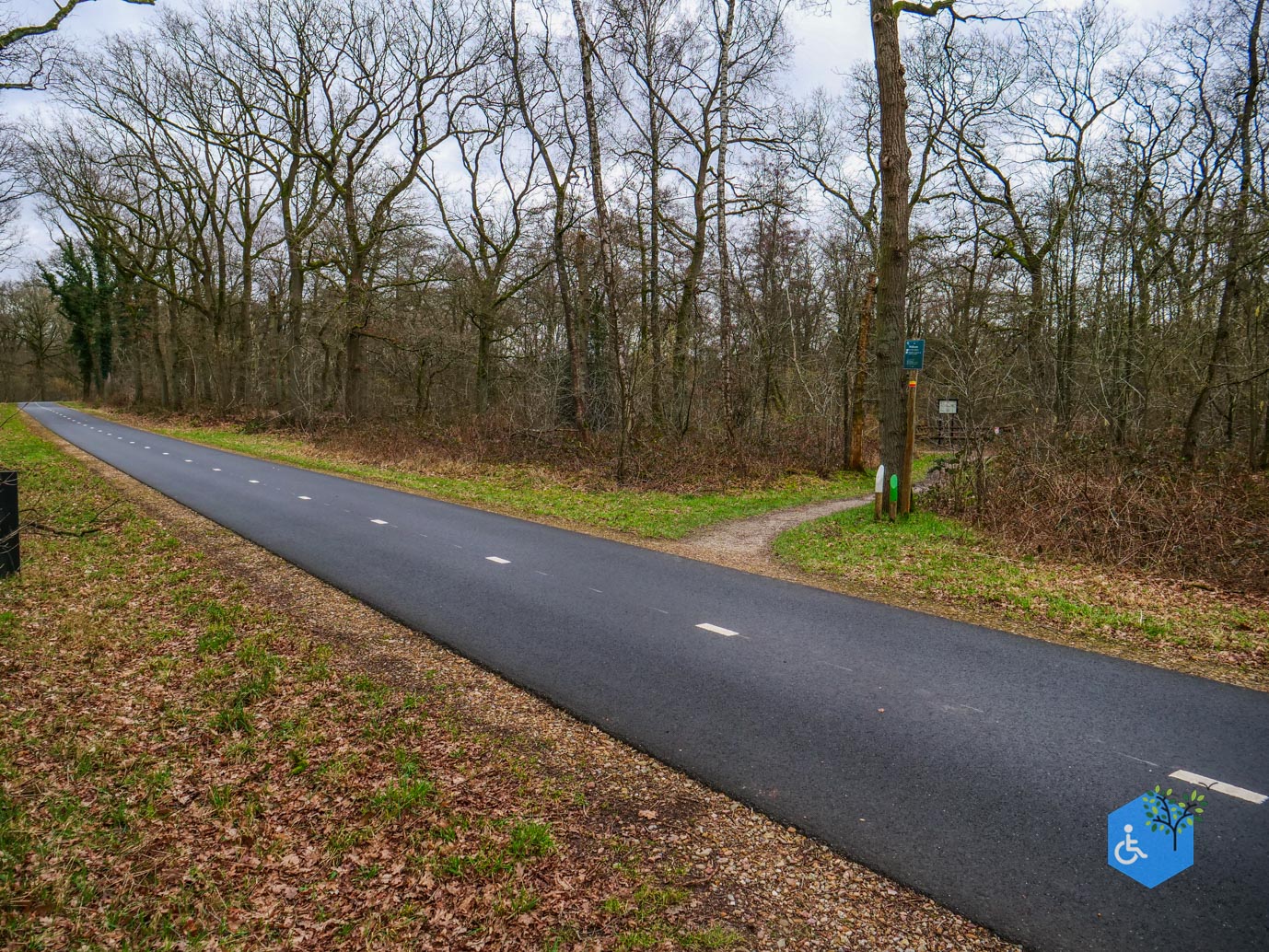 Wellerlooi_Rolstoelroute_De_Hamert_06-02-2024-16