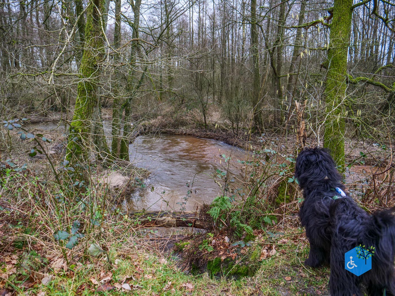 Wellerlooi_Rolstoelroute_De_Hamert_06-02-2024-22