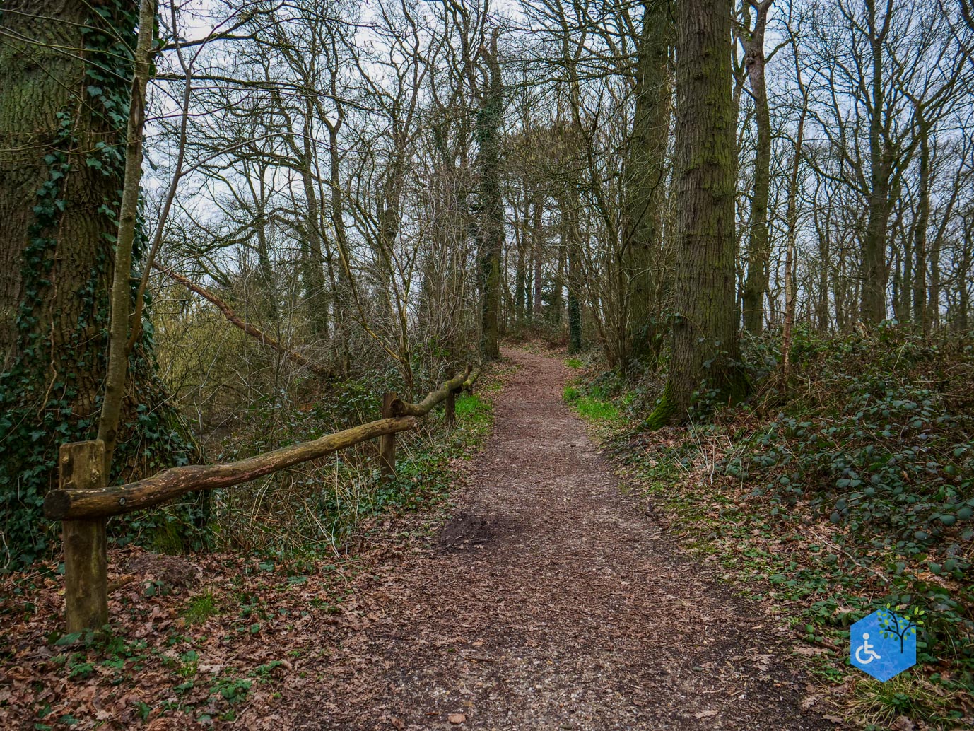 Wellerlooi_Rolstoelroute_De_Hamert_06-02-2024-36