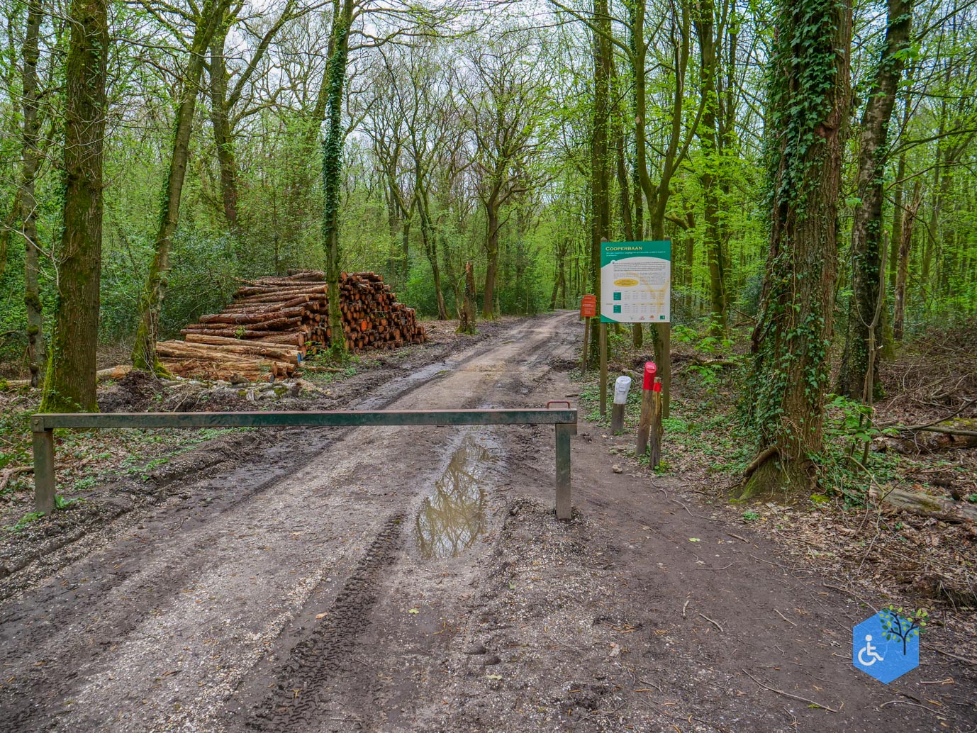 Vijlen_Wandelroute_Malensbos_07-04-2024-02