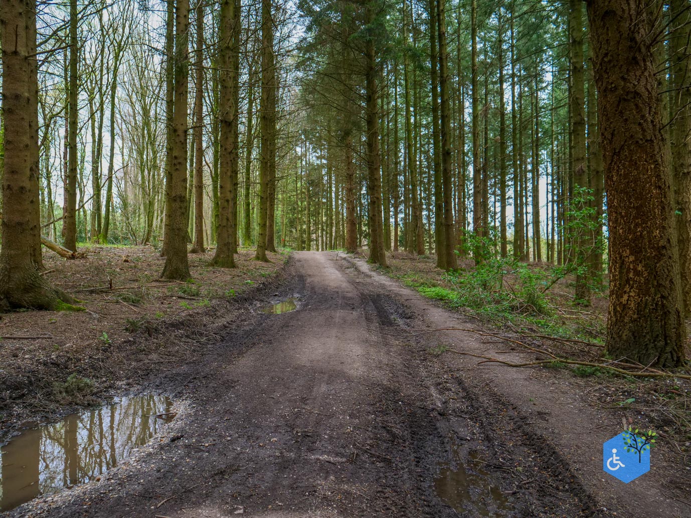 Vijlen_Wandelroute_Malensbos_07-04-2024-10