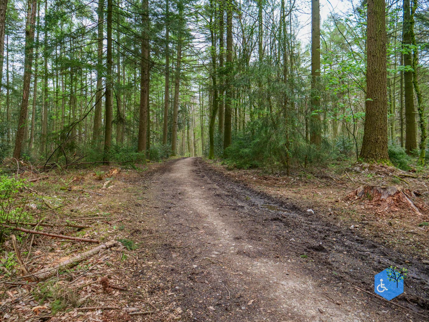 Vijlen_Wandelroute_Malensbos_07-04-2024-13