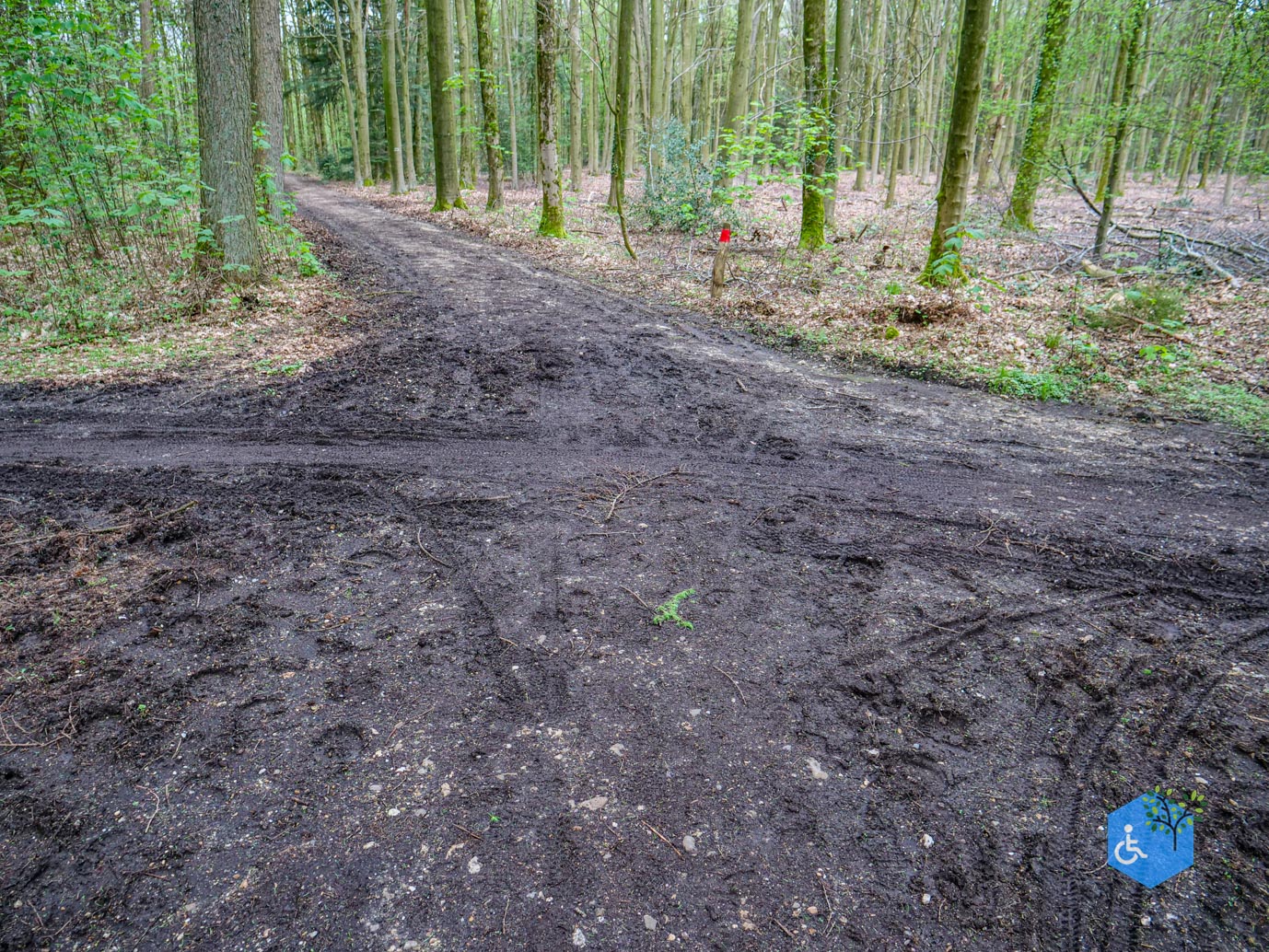 Vijlen_Wandelroute_Malensbos_07-04-2024-14