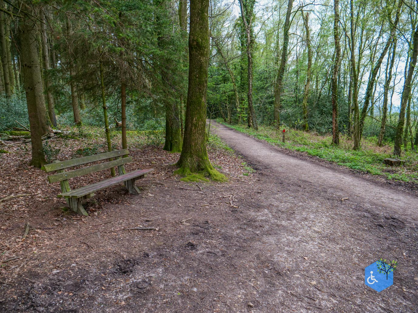 Vijlen_Wandelroute_Malensbos_07-04-2024-17