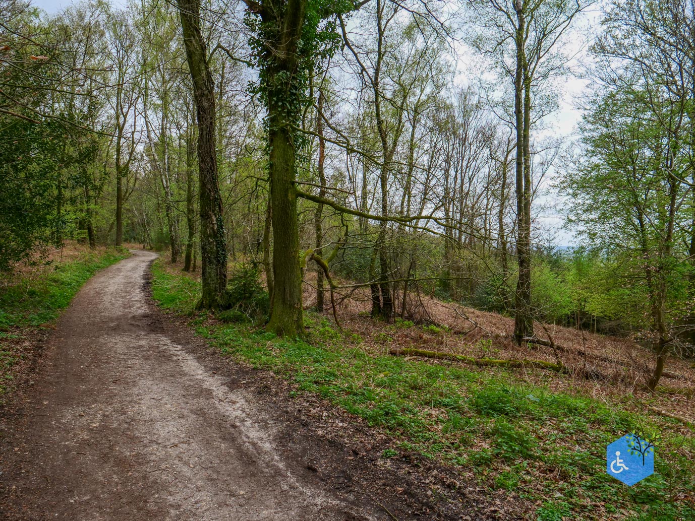 Vijlen_Wandelroute_Malensbos_07-04-2024-18