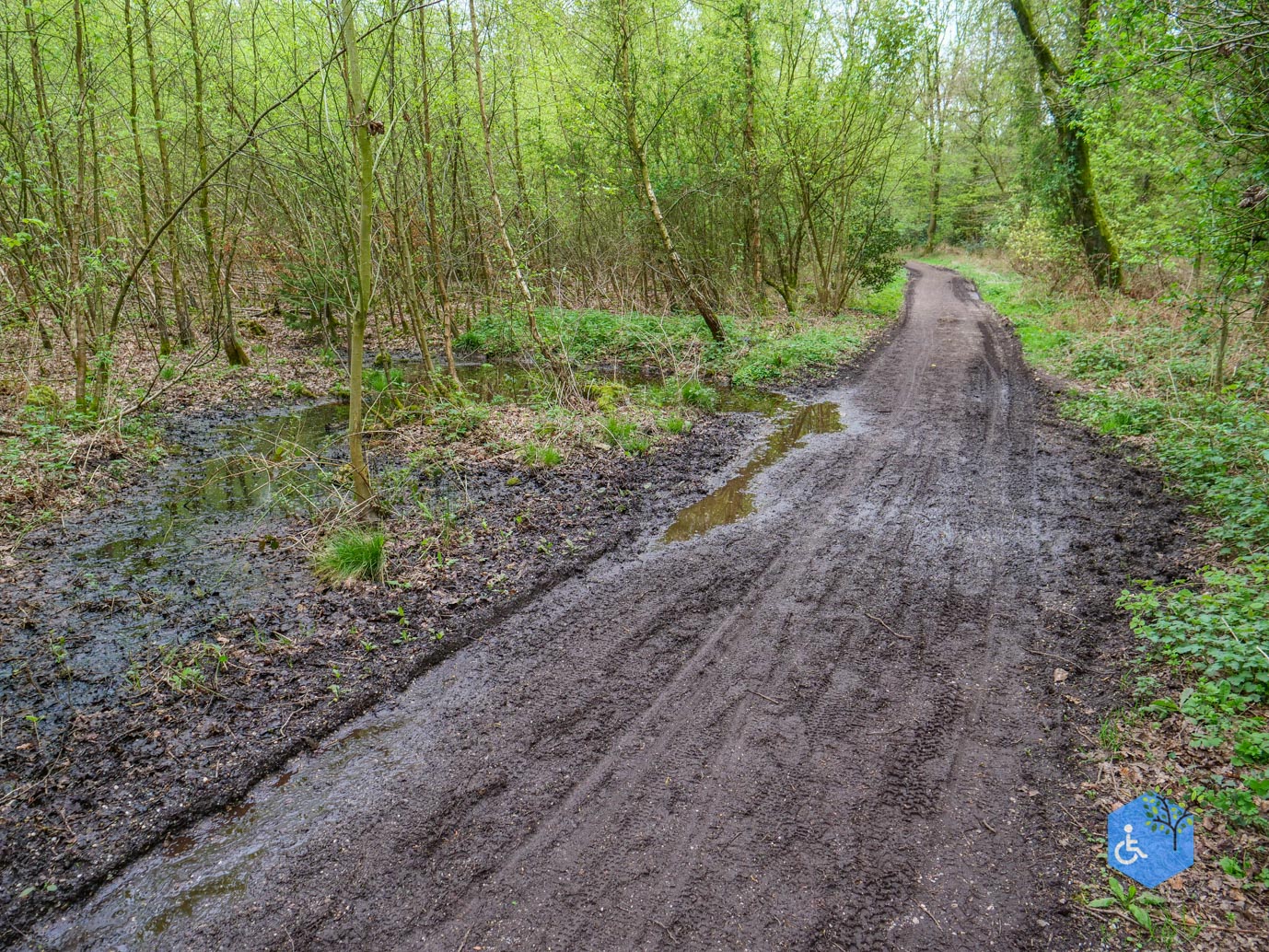 Vijlen_Wandelroute_Malensbos_07-04-2024-20