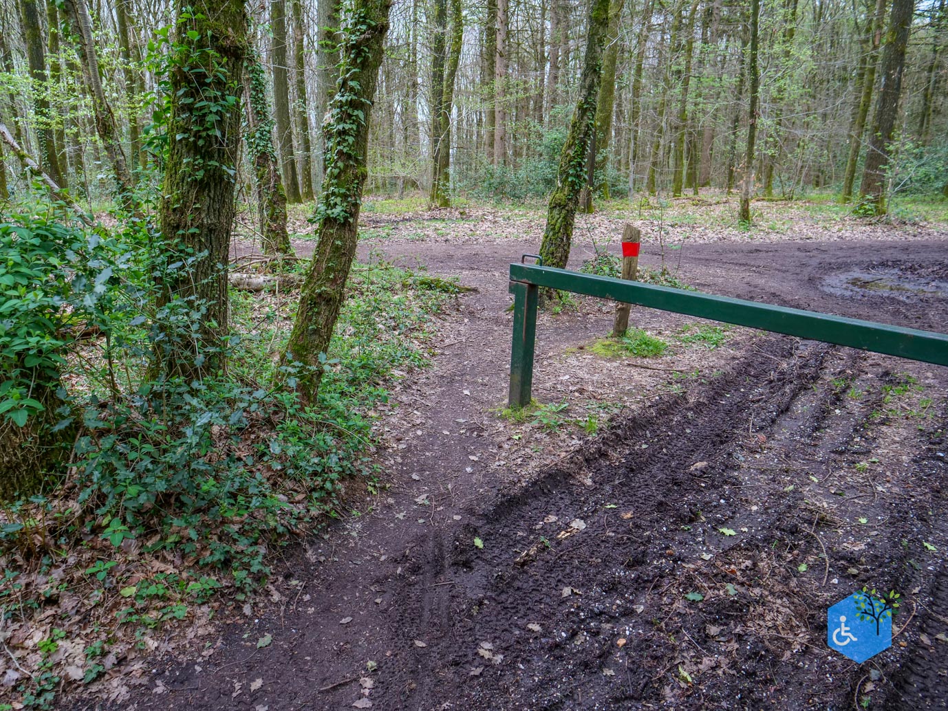 Vijlen_Wandelroute_Malensbos_07-04-2024-22