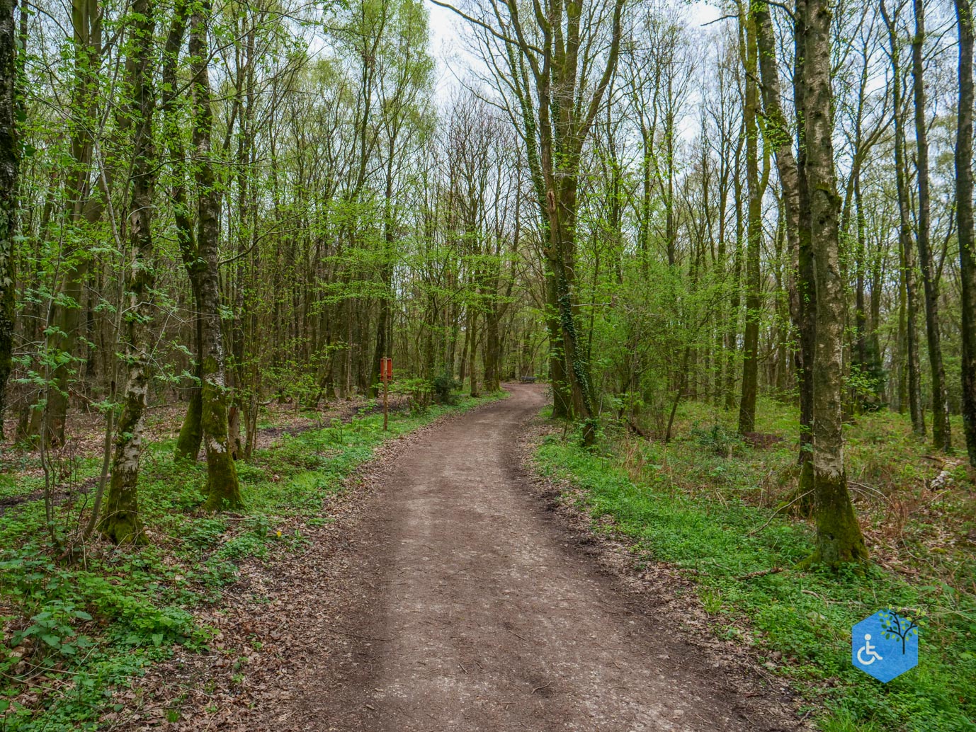 Vijlen_Wandelroute_Malensbos_07-04-2024-24