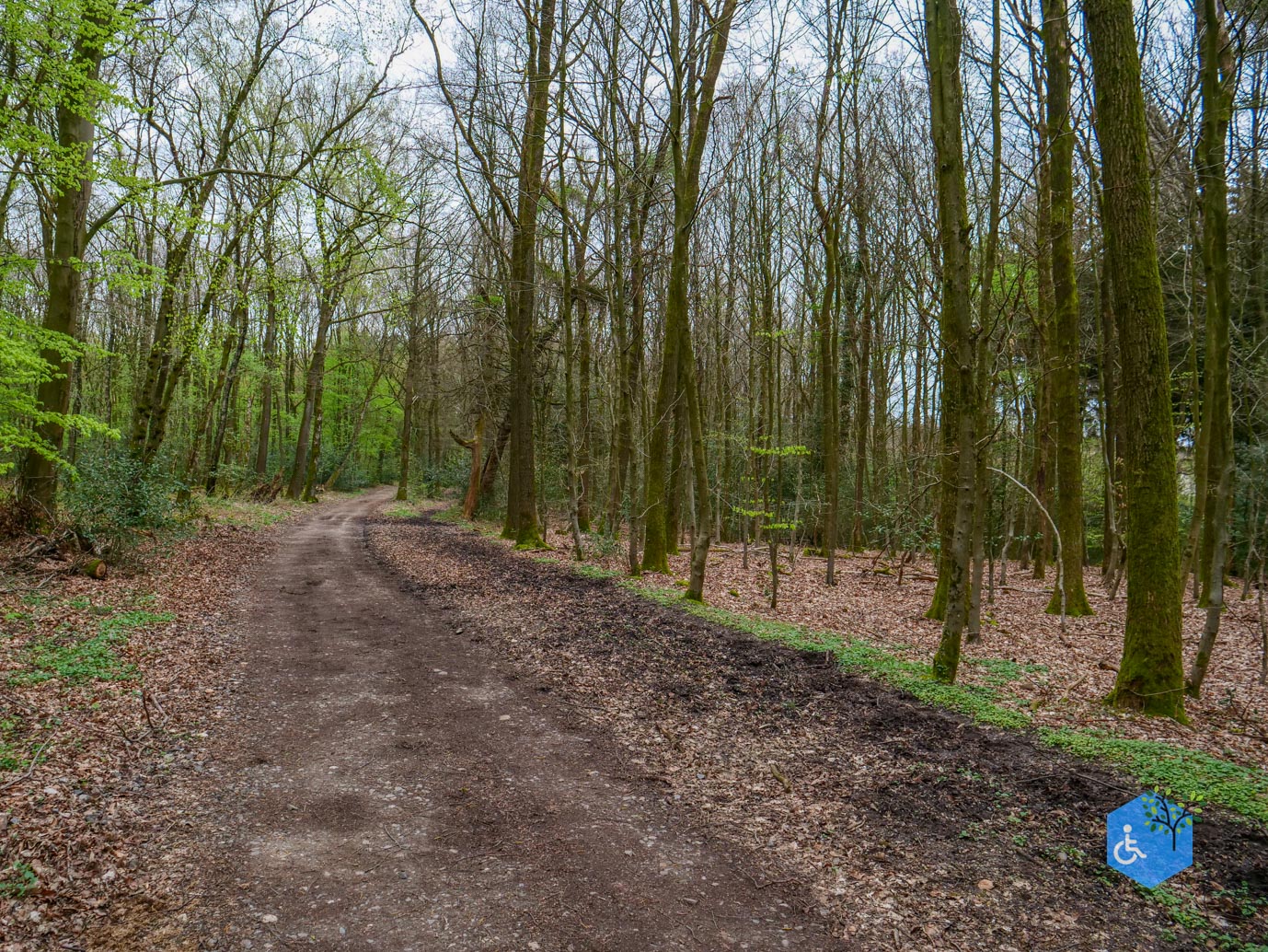 Vijlen_Wandelroute_Malensbos_07-04-2024-25