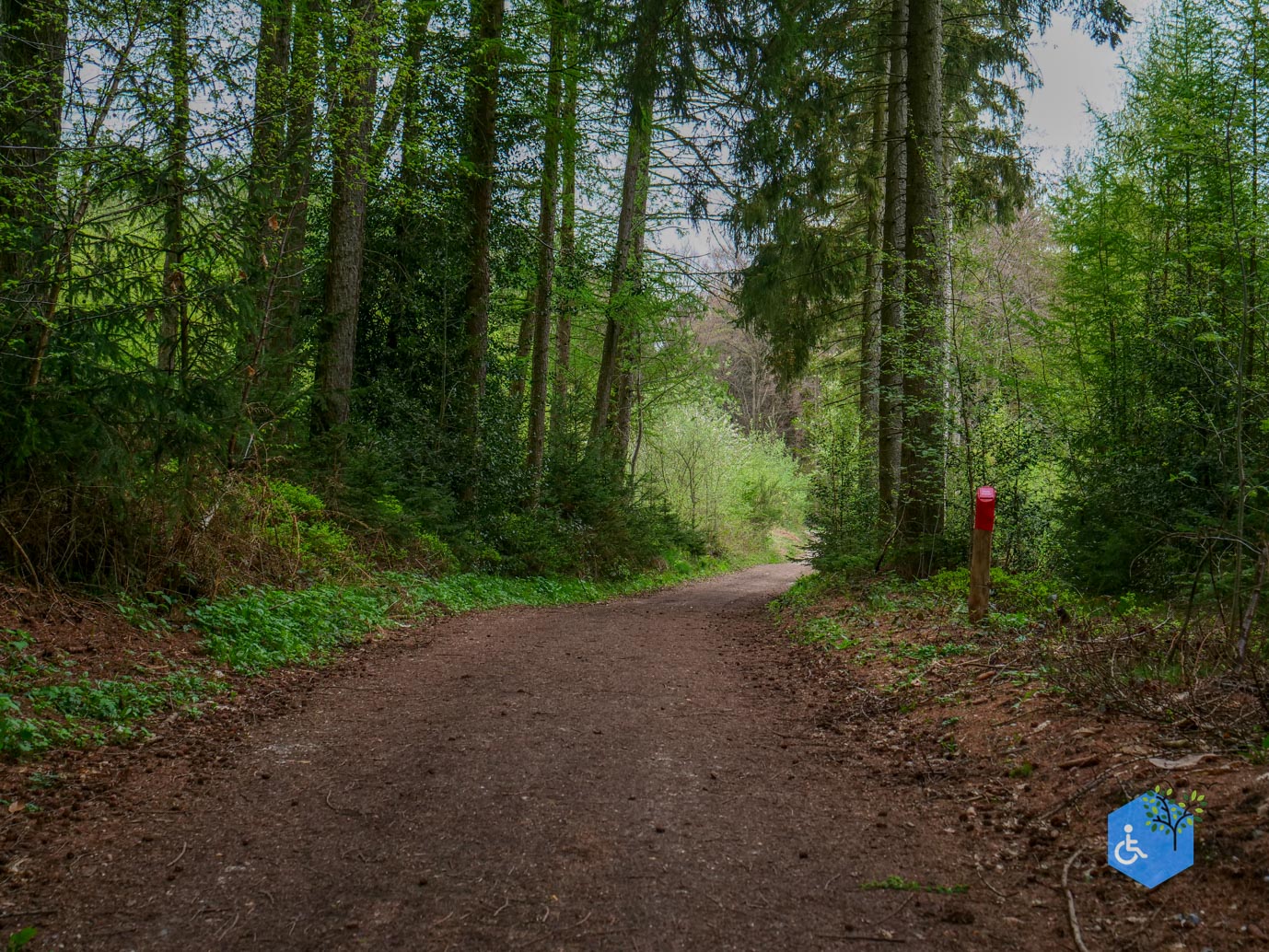 Vijlen_Wandelroute_Malensbos_07-04-2024-27