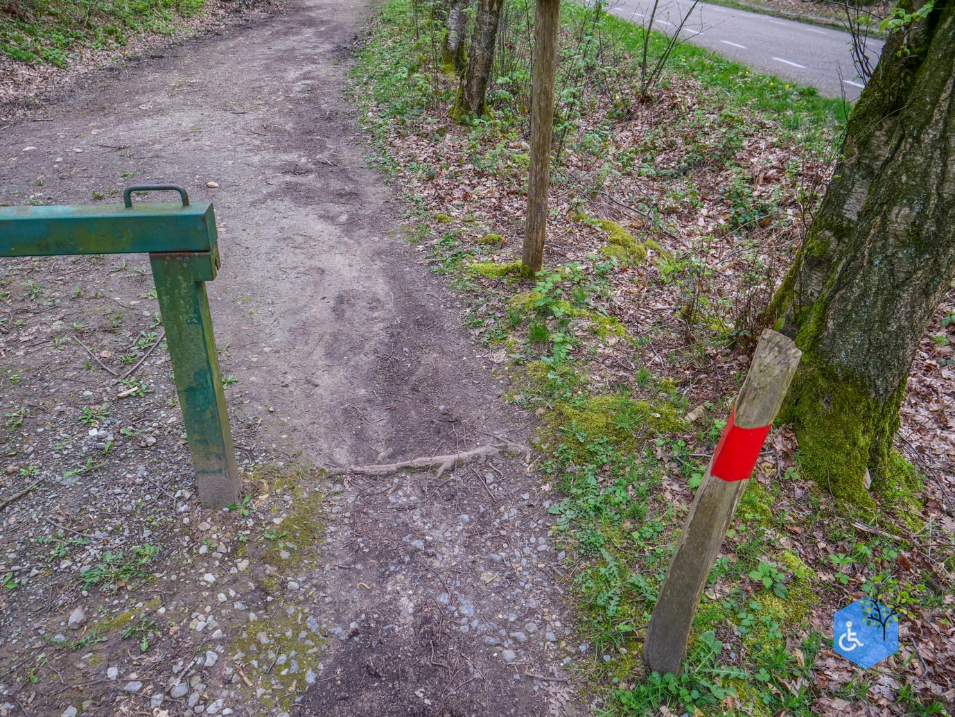 Vijlen_Wandelroute_Malensbos_07-04-2024-31