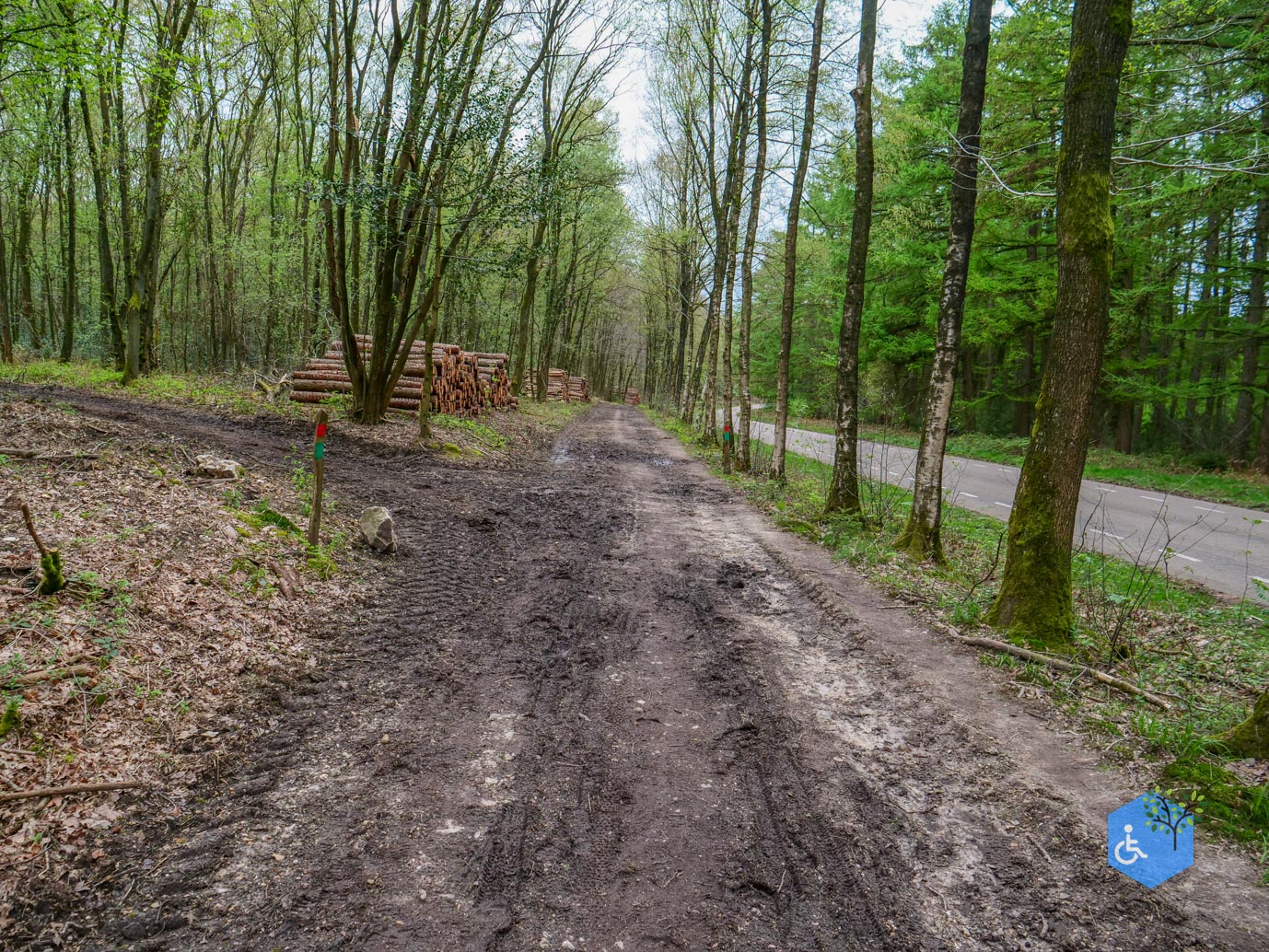 Vijlen_Wandelroute_Malensbos_07-04-2024-37