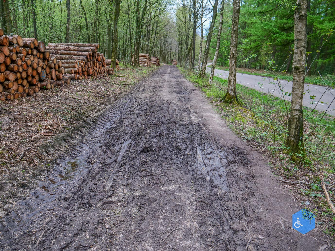 Vijlen_Wandelroute_Malensbos_07-04-2024-38