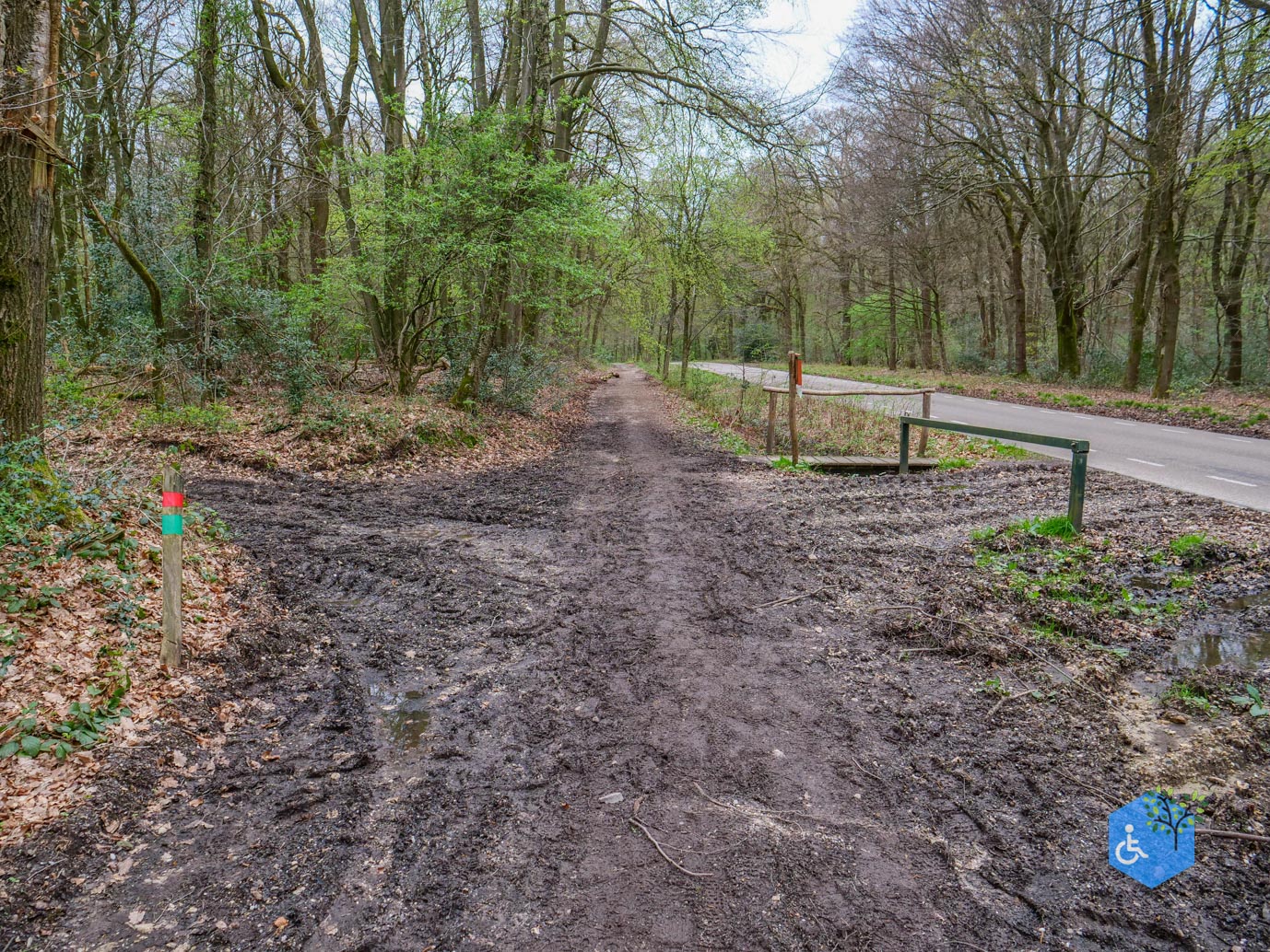 Vijlen_Wandelroute_Malensbos_07-04-2024-39