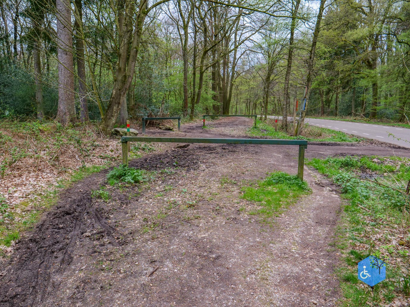 Vijlen_Wandelroute_Malensbos_07-04-2024-40