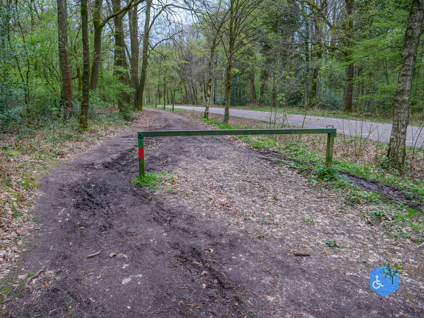 Vijlen_Wandelroute_Malensbos_07-04-2024-41